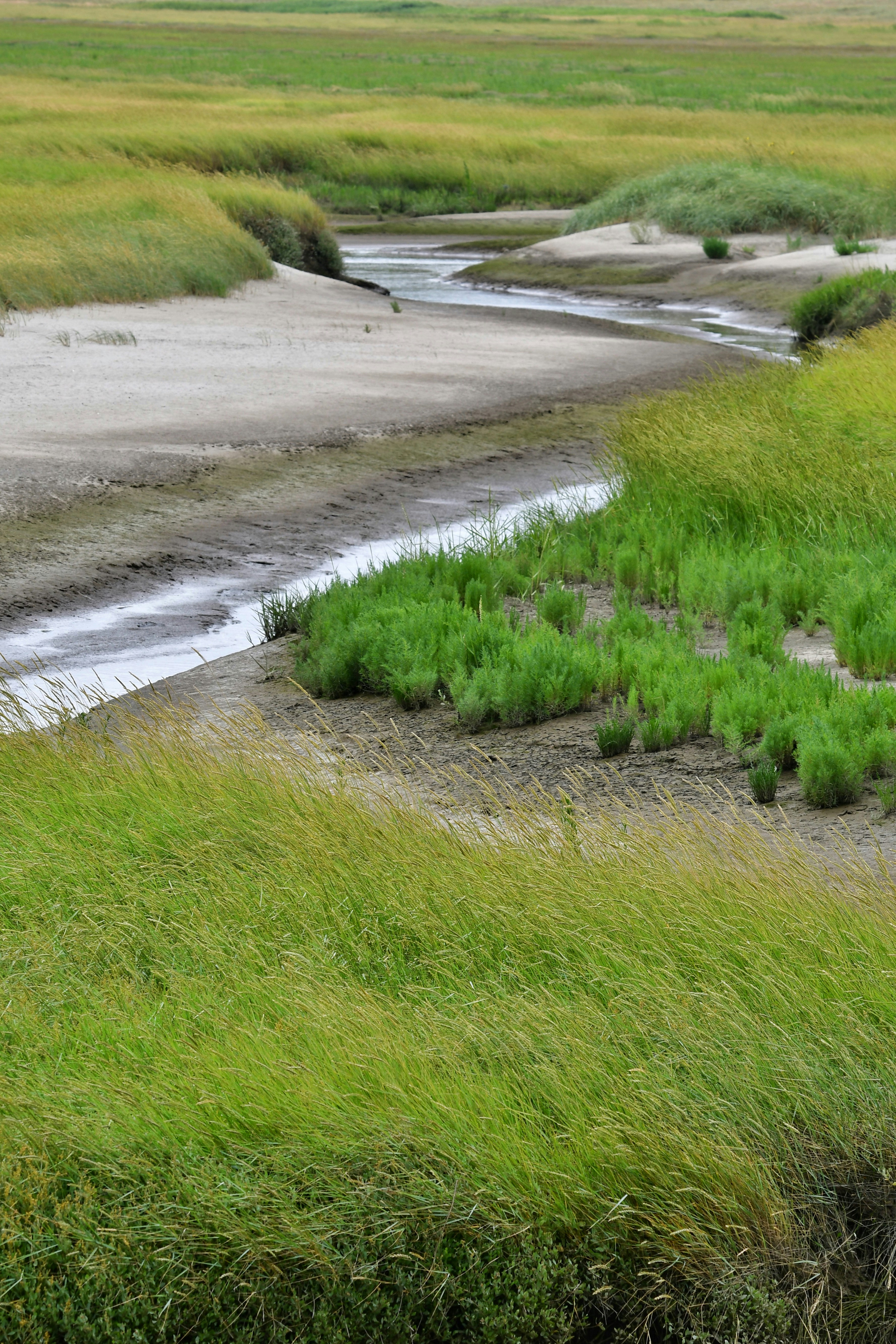 Photo by pedrino5_official