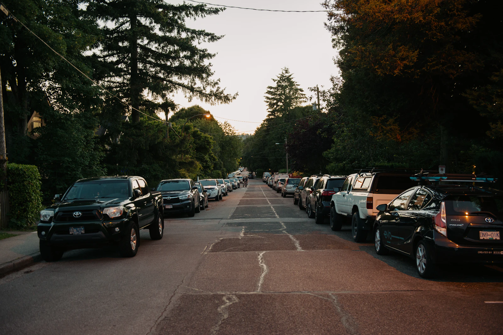 Neighborhood side street at dusk lined with parked cars and towering evergreen trees