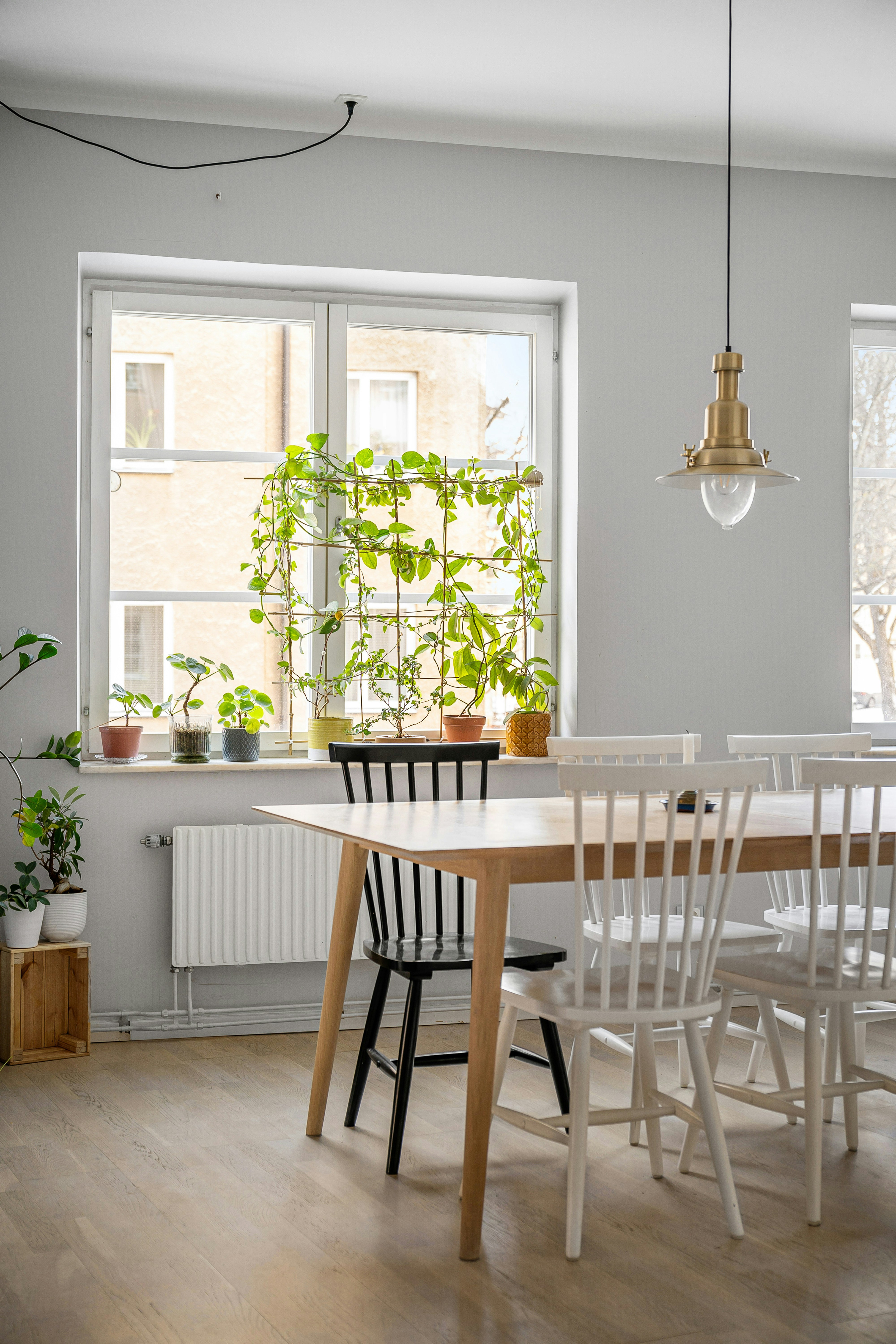 Photo by lisaanna195