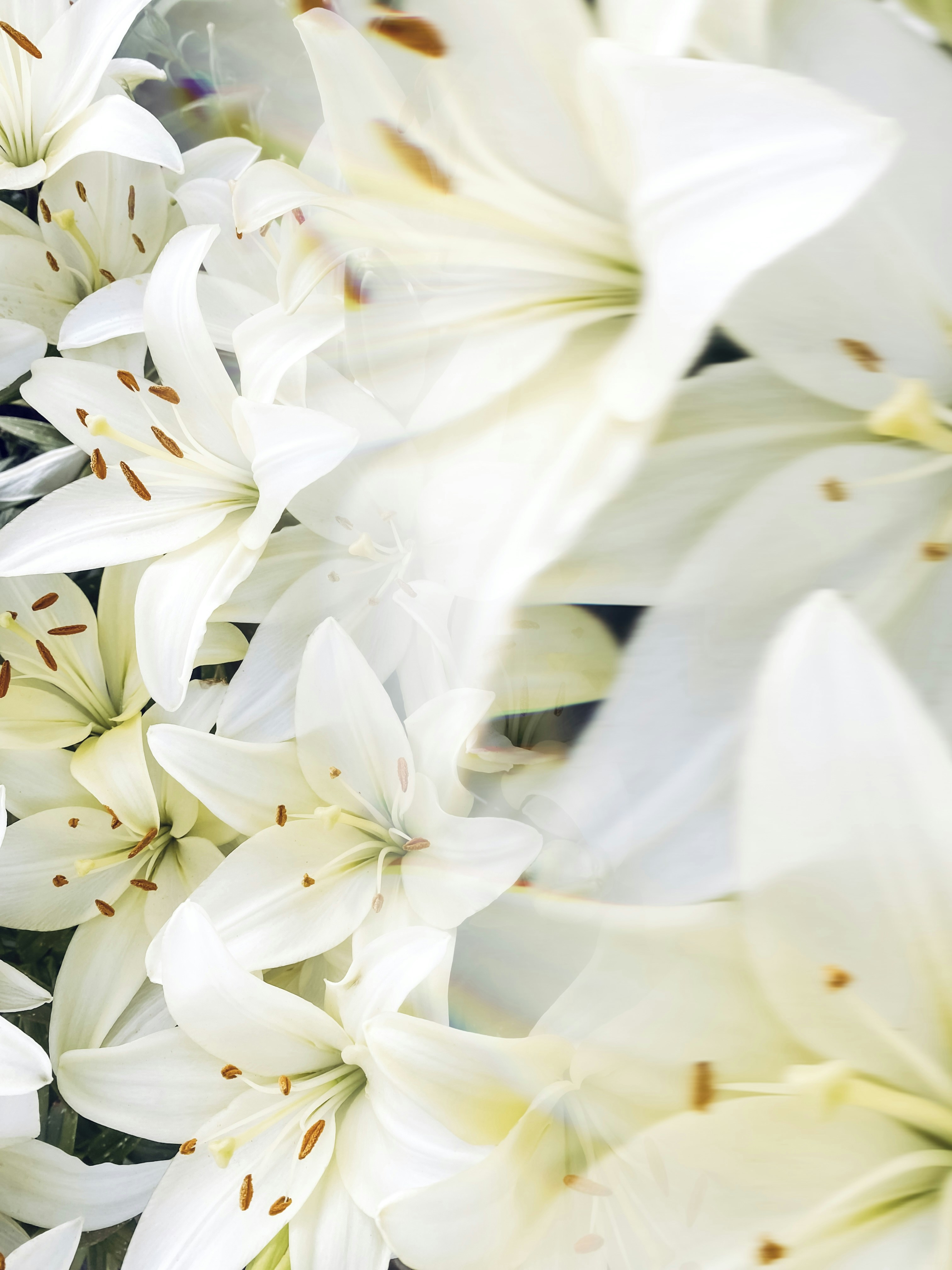 Photo by eugene_golovesov