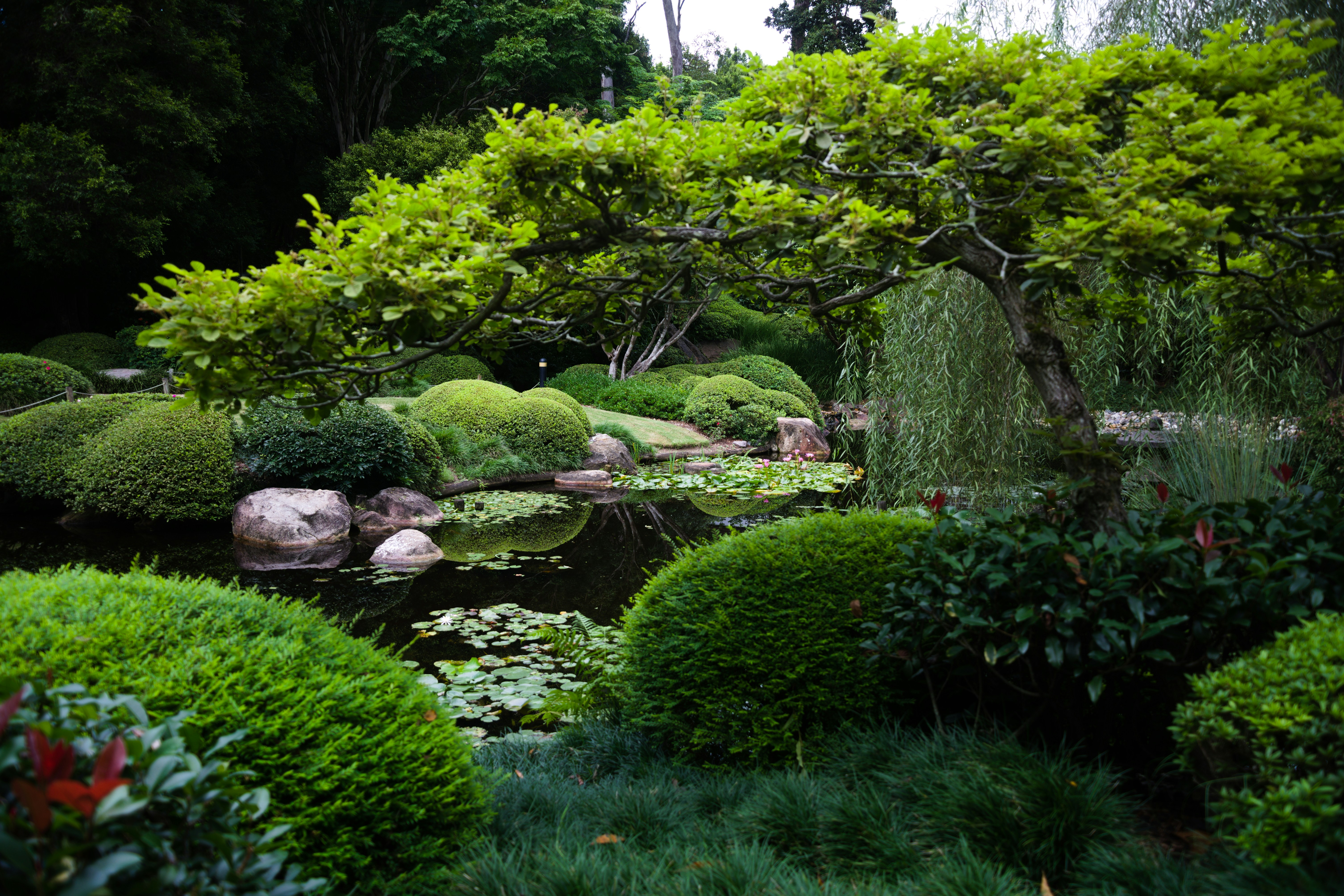  jardins japonais