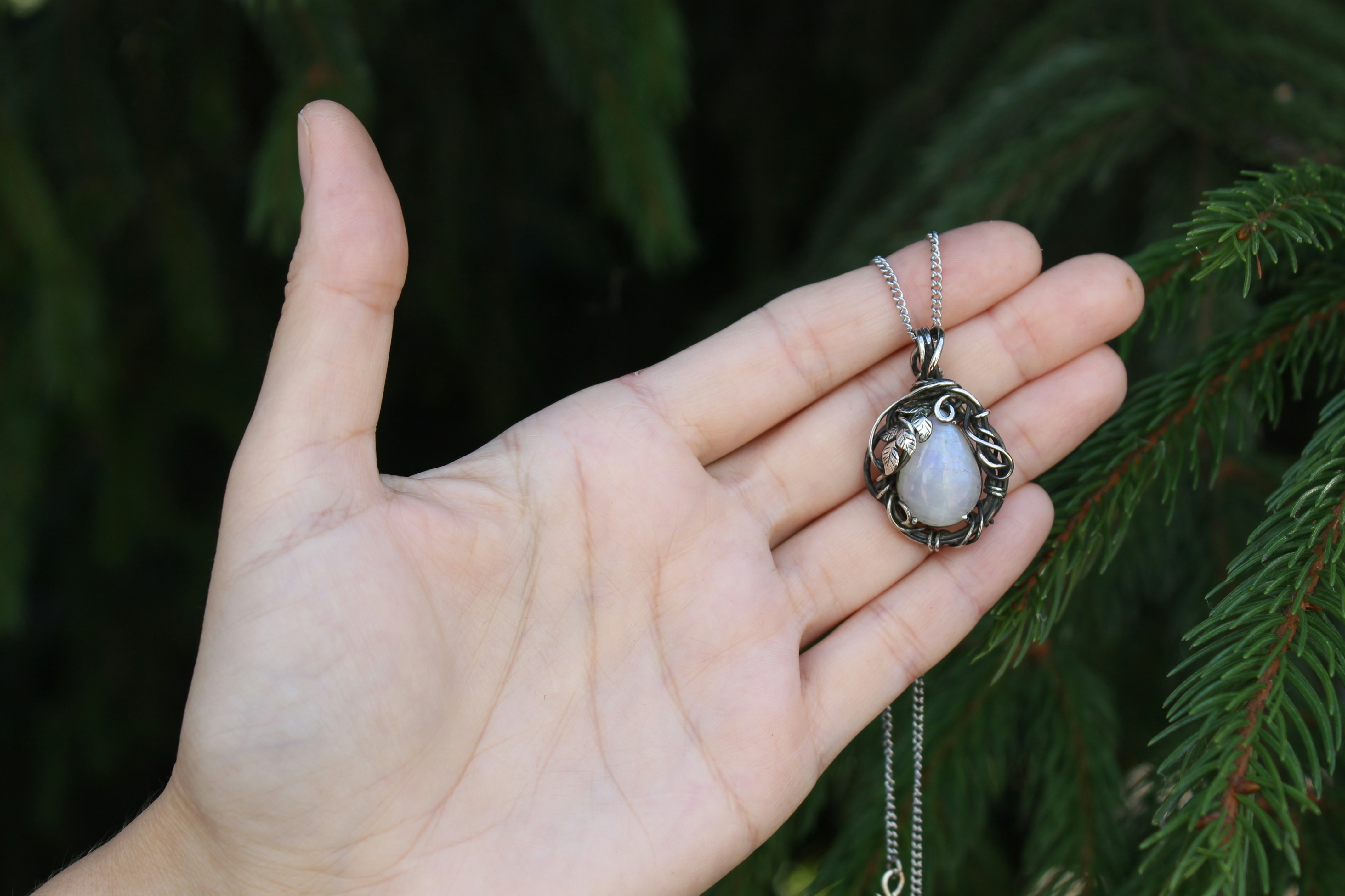 Photo by thehouseofthewitch