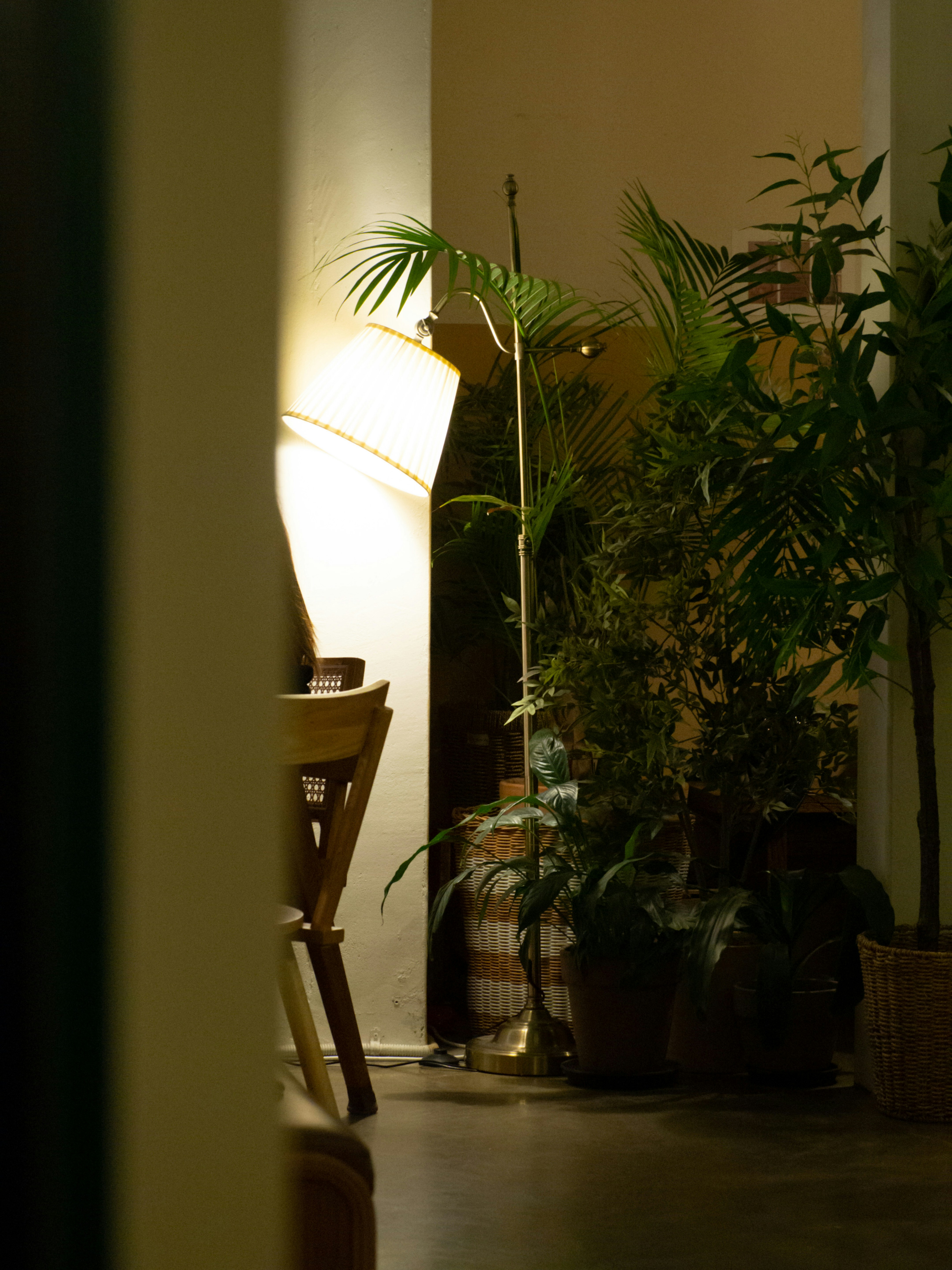 A room with a table, chair, and potted plants