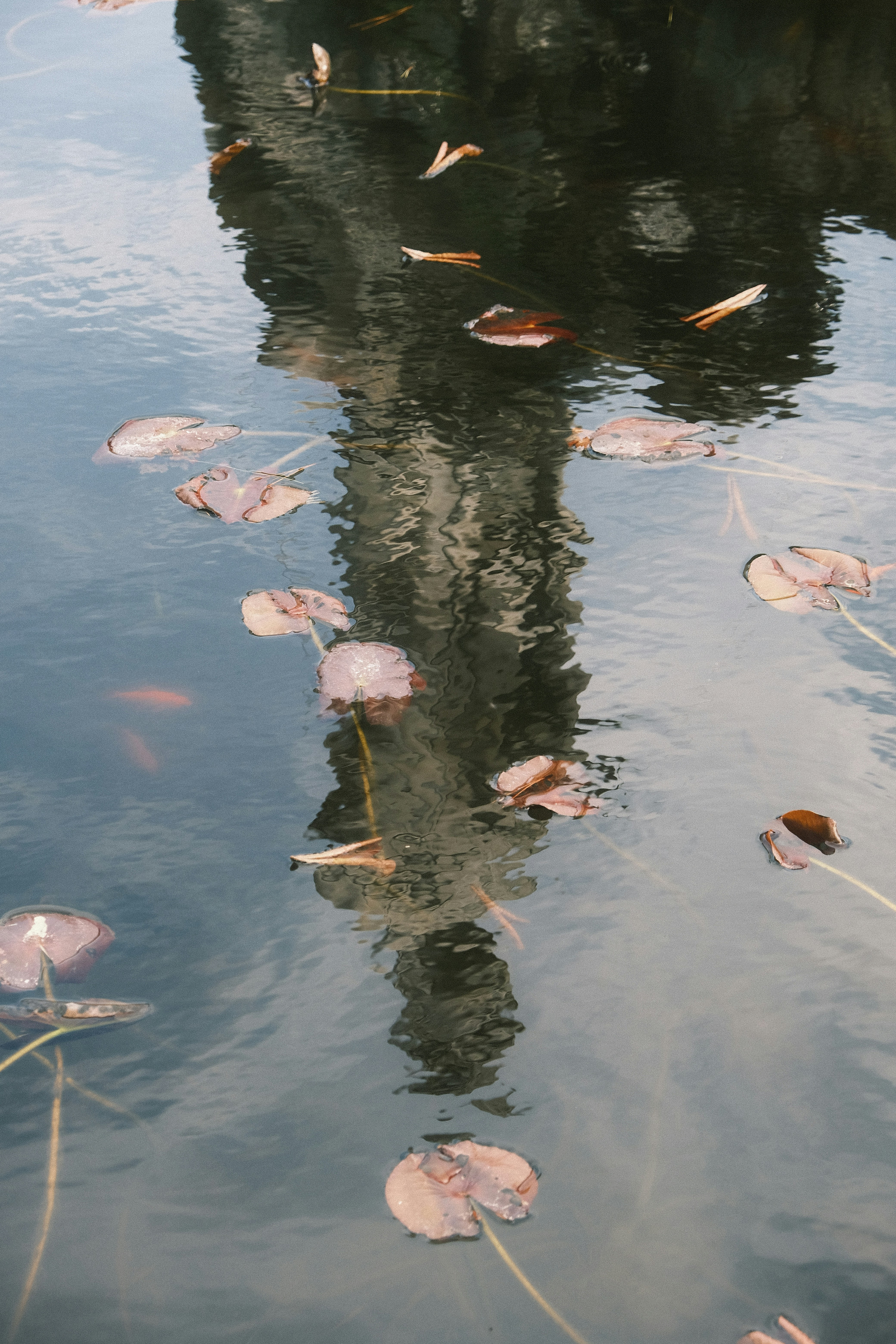 물에 비친 건물의 모습