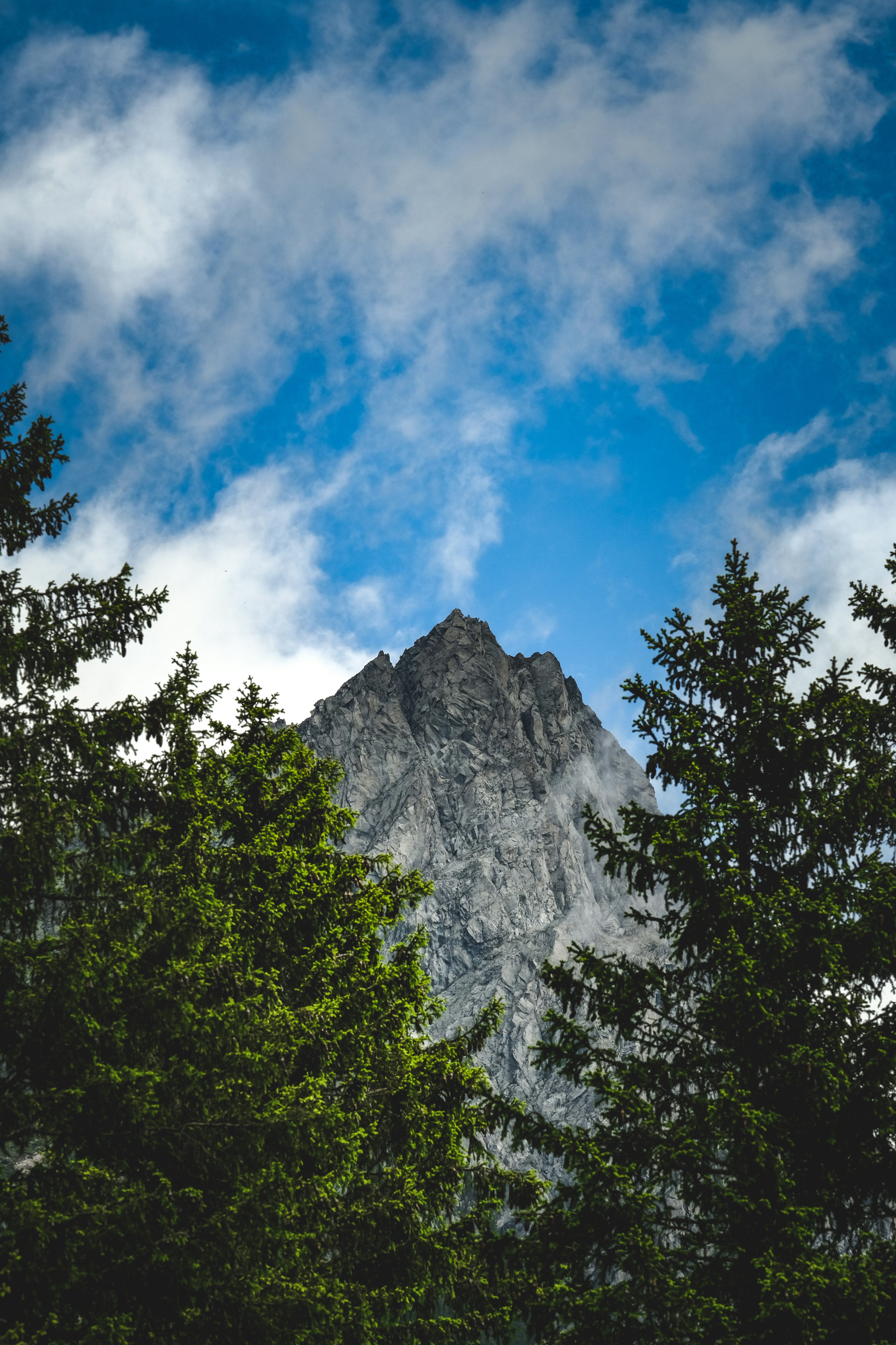 Photo by francesco_ungaro