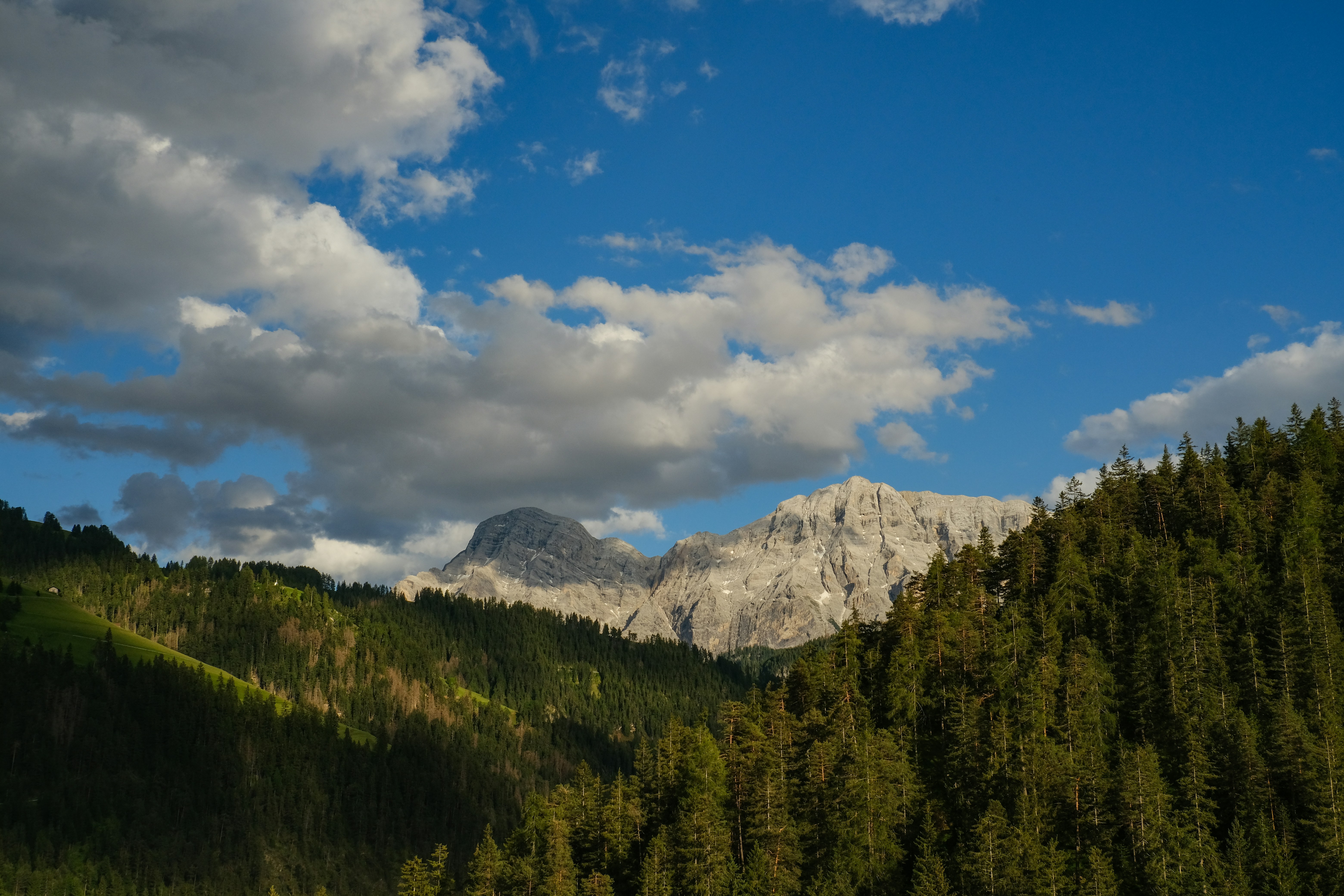 Photo by francesco_ungaro