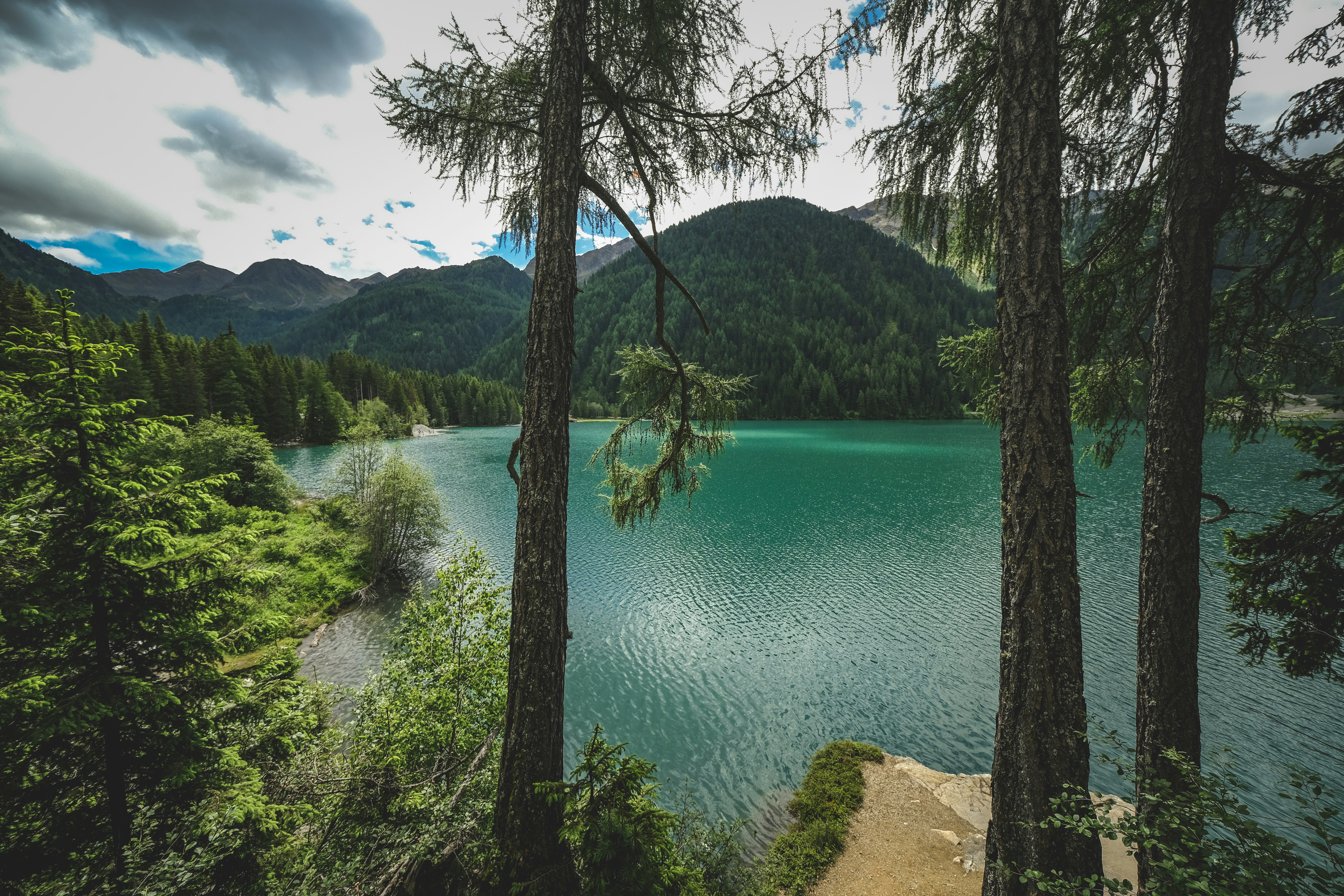 Photo by francesco_ungaro