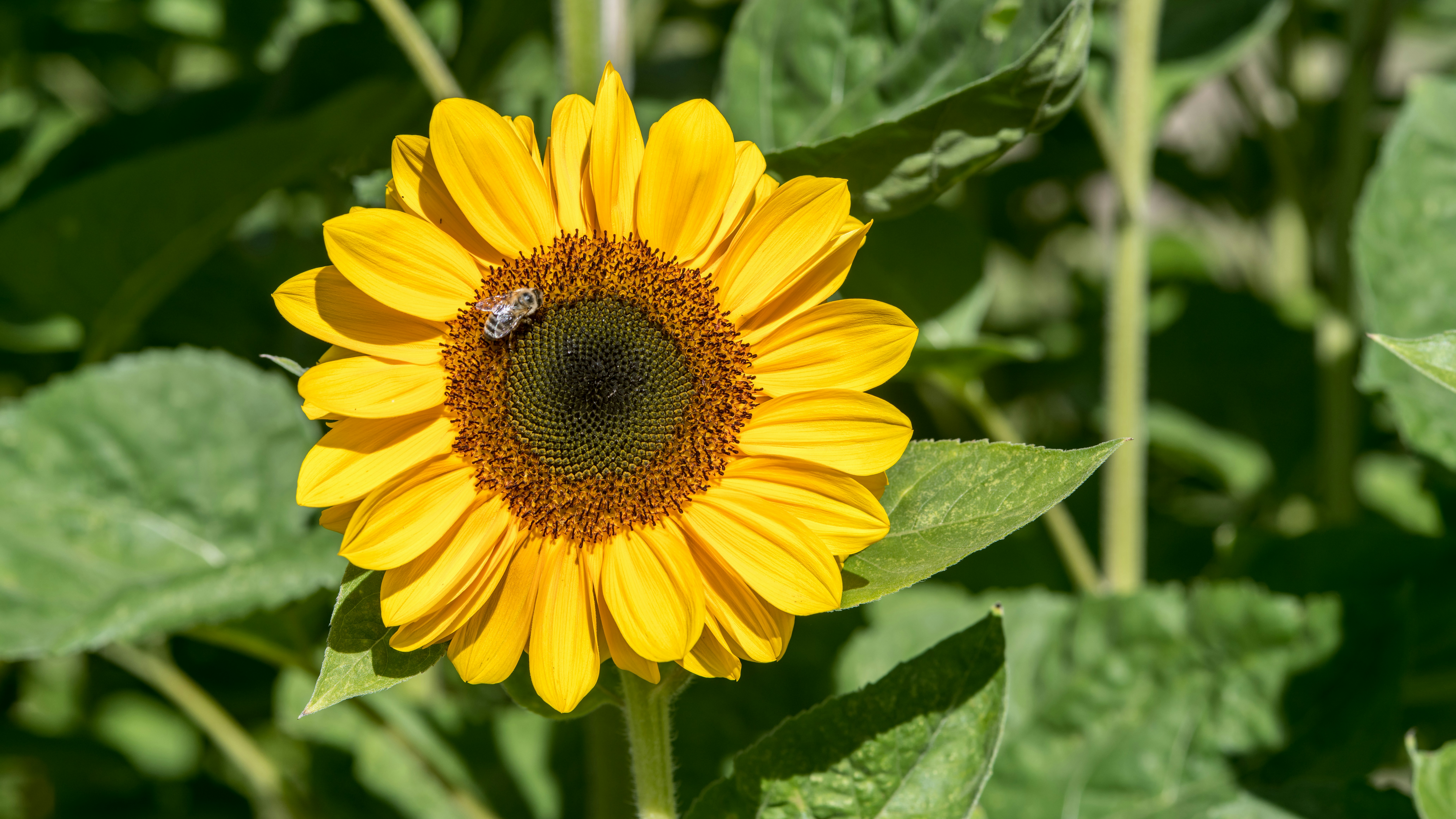 Photo by hamburgmeinefreundin