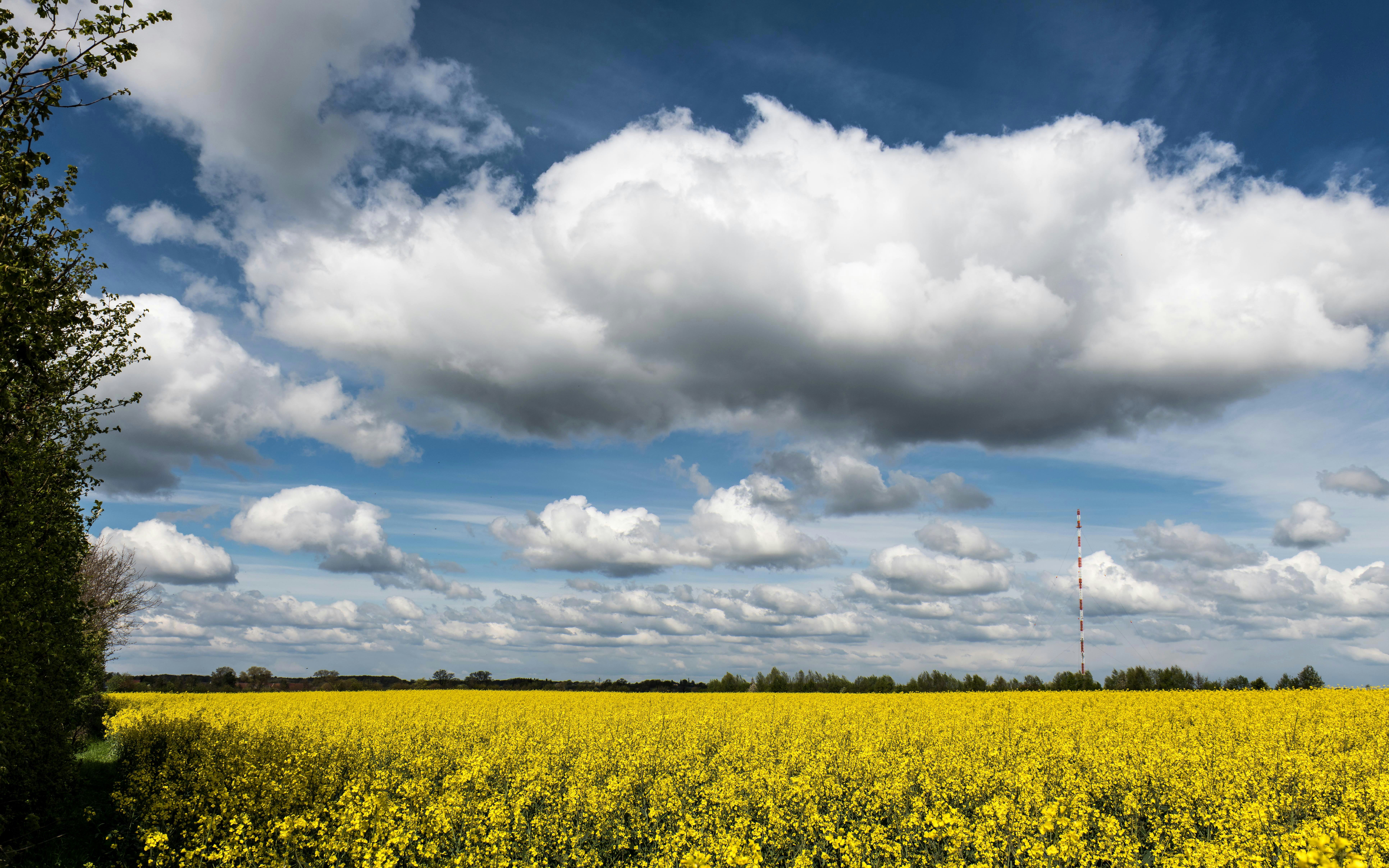 Photo by hamburgmeinefreundin