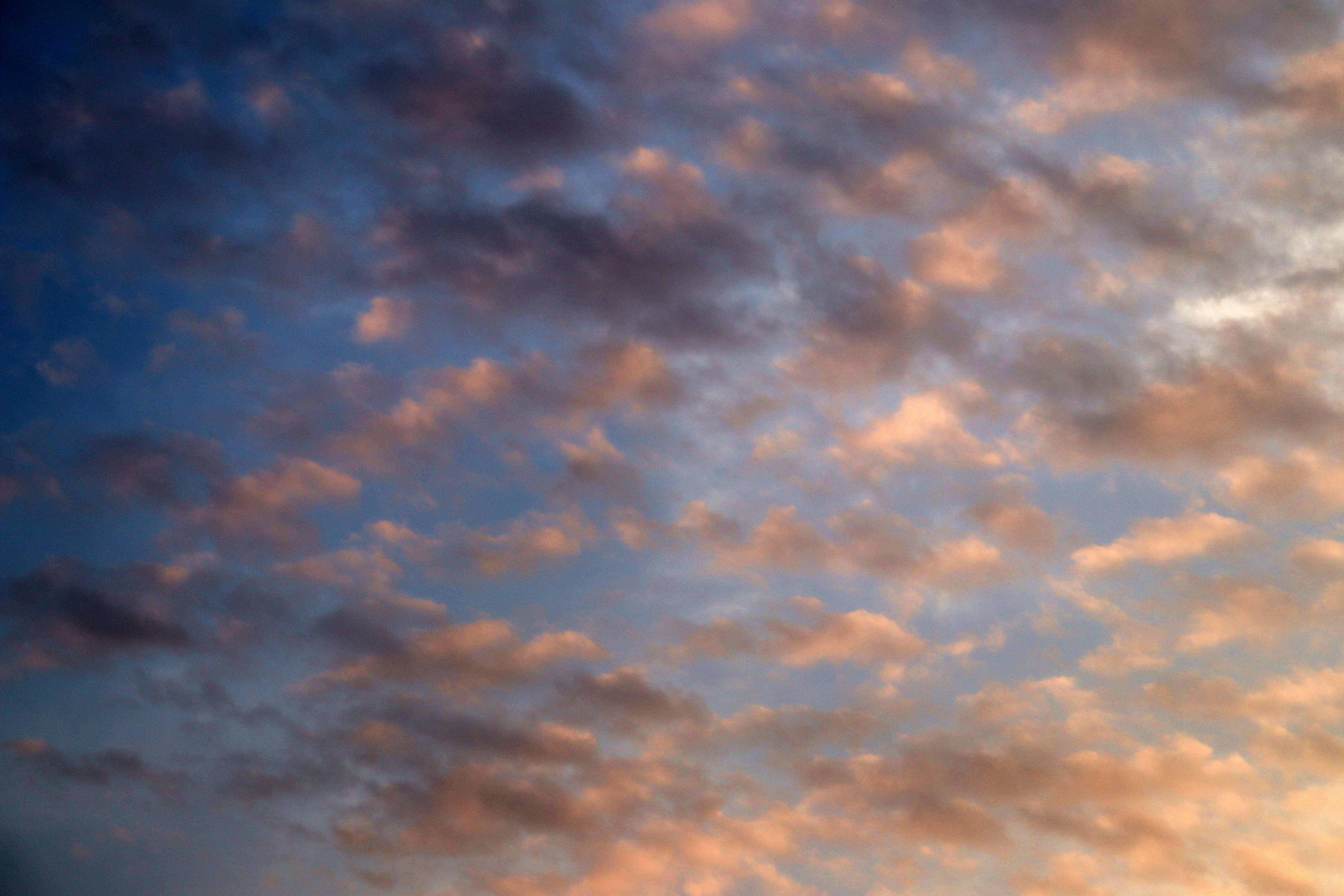 Photo by sergio_2334