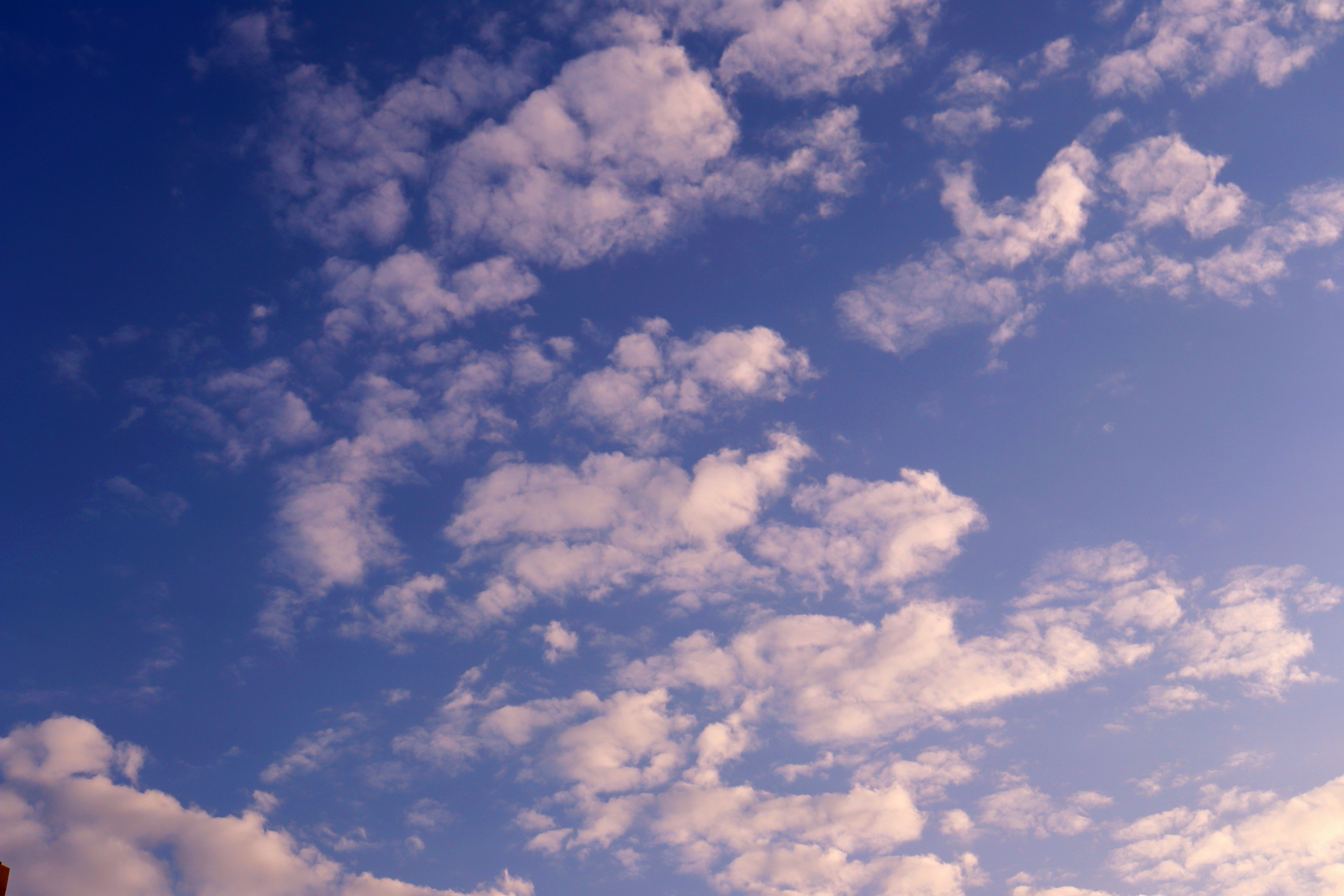 Photo by sergio_2334