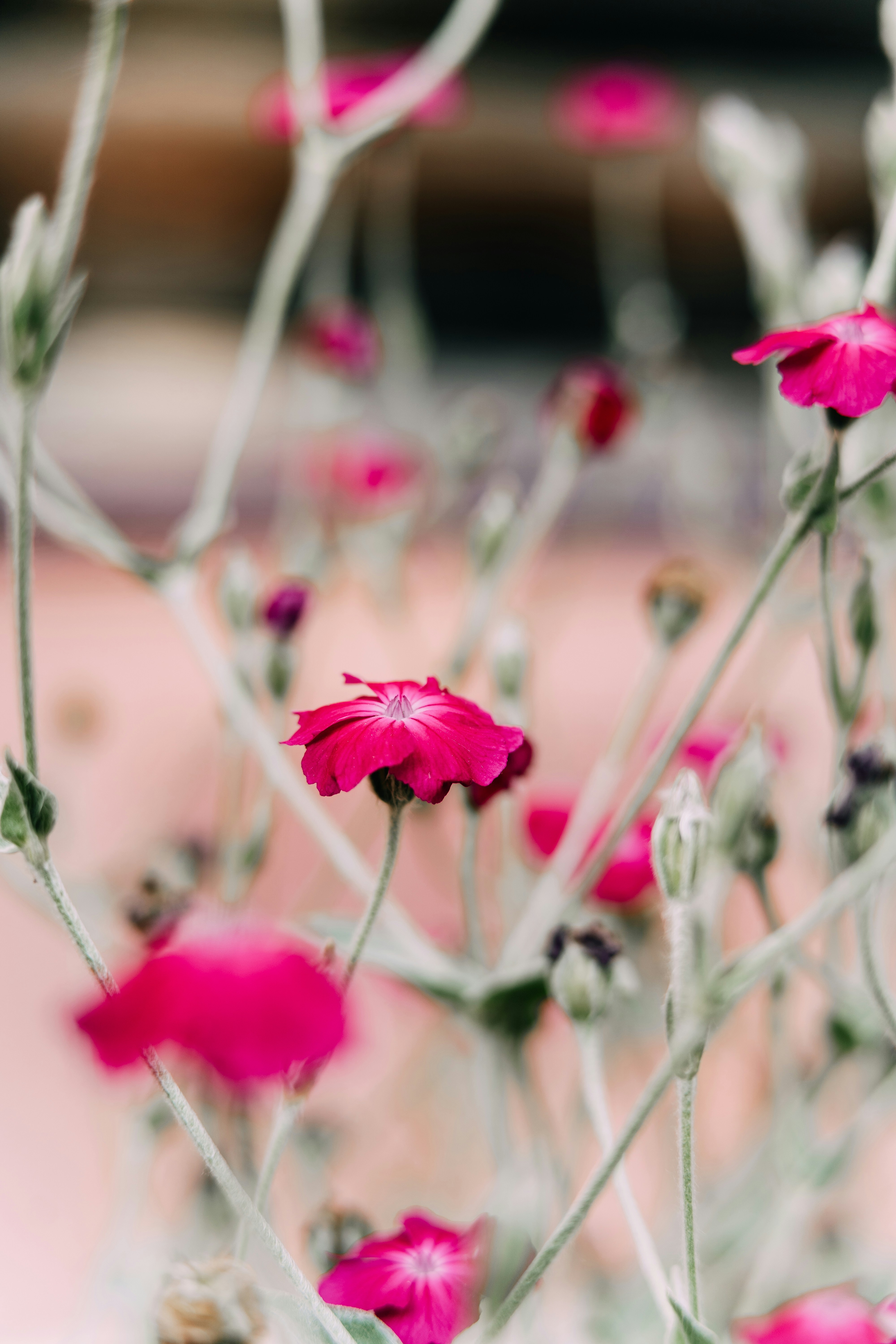 Photo by anamnesis33