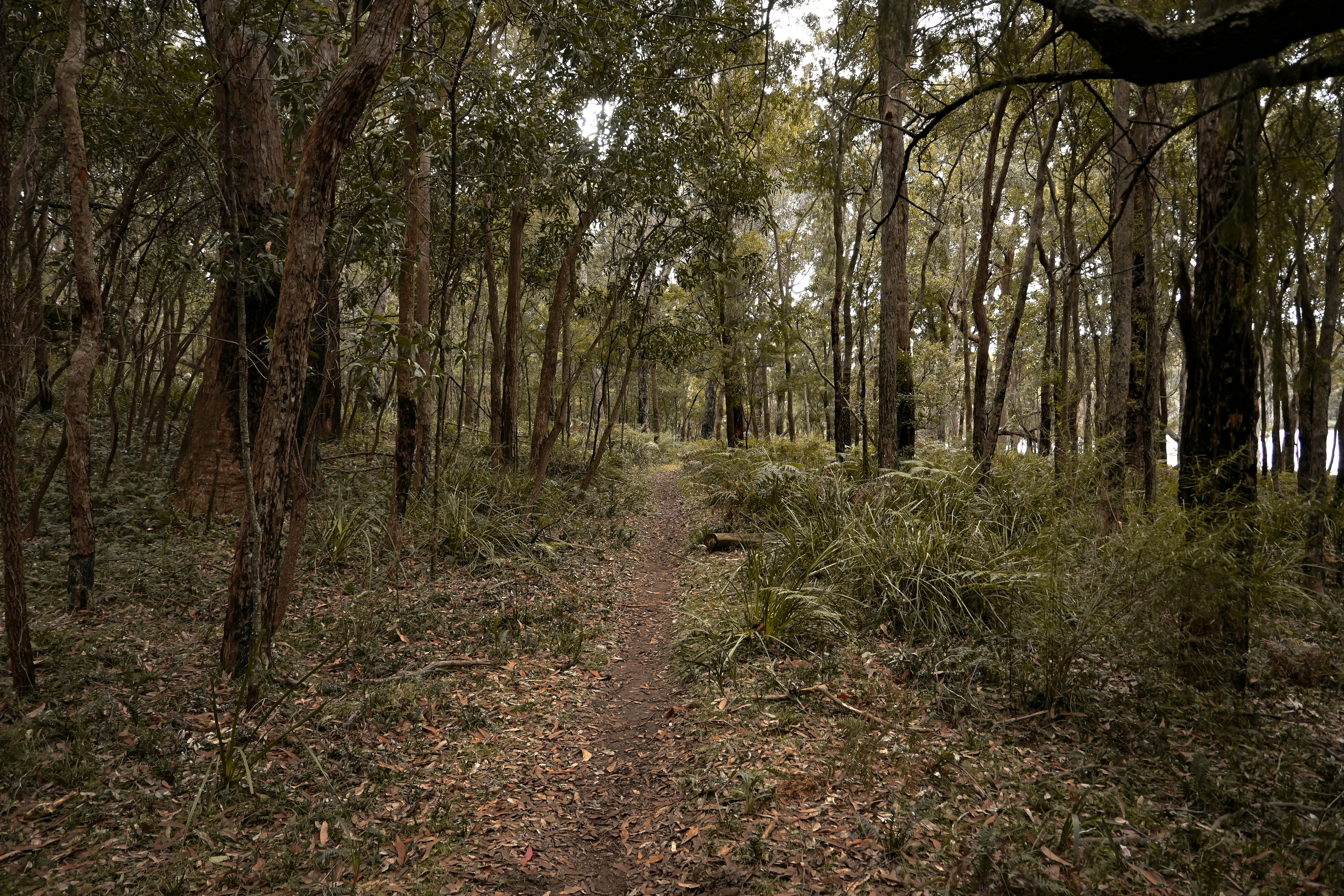 Photo by avignakaran