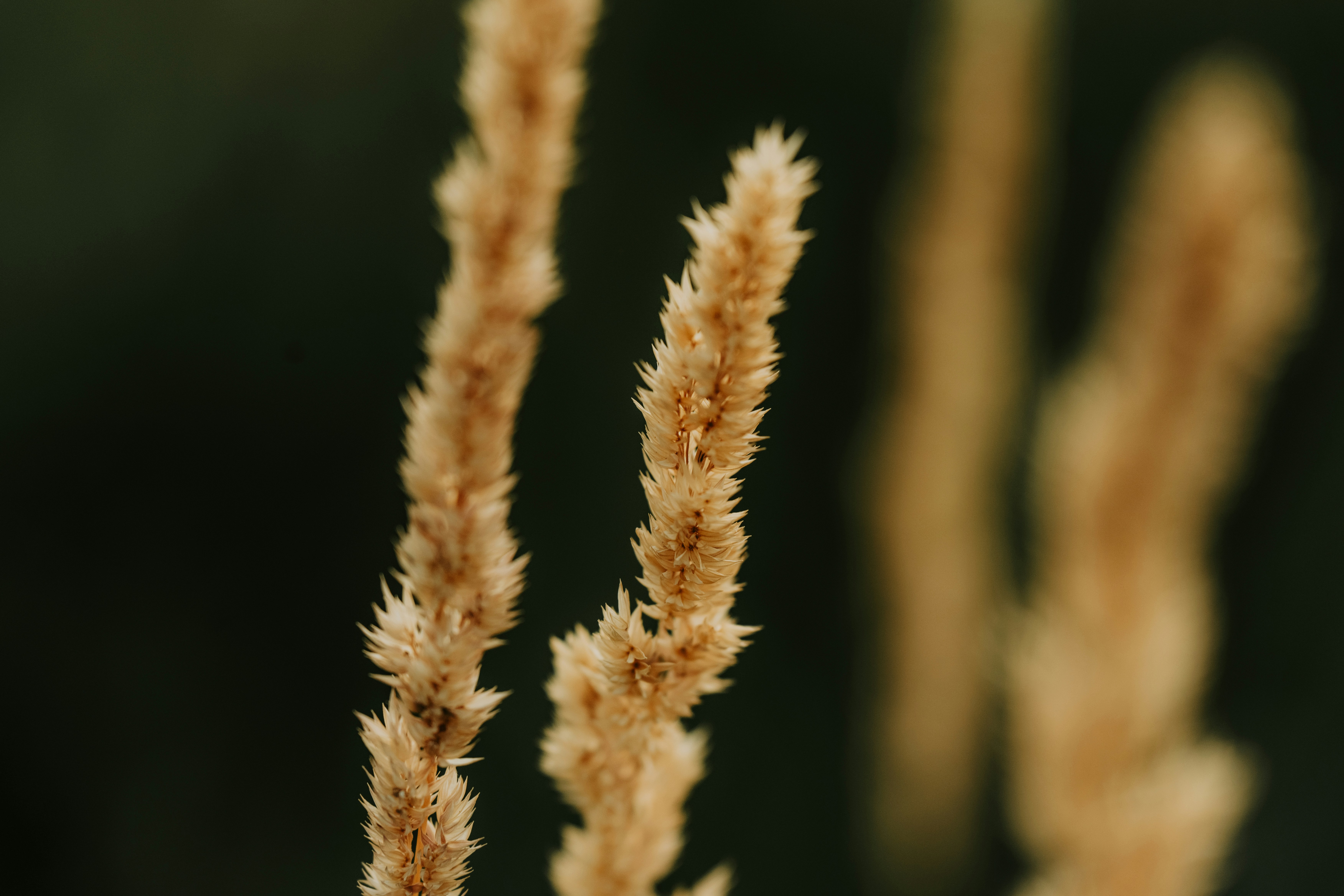 Photo by bylukemiller