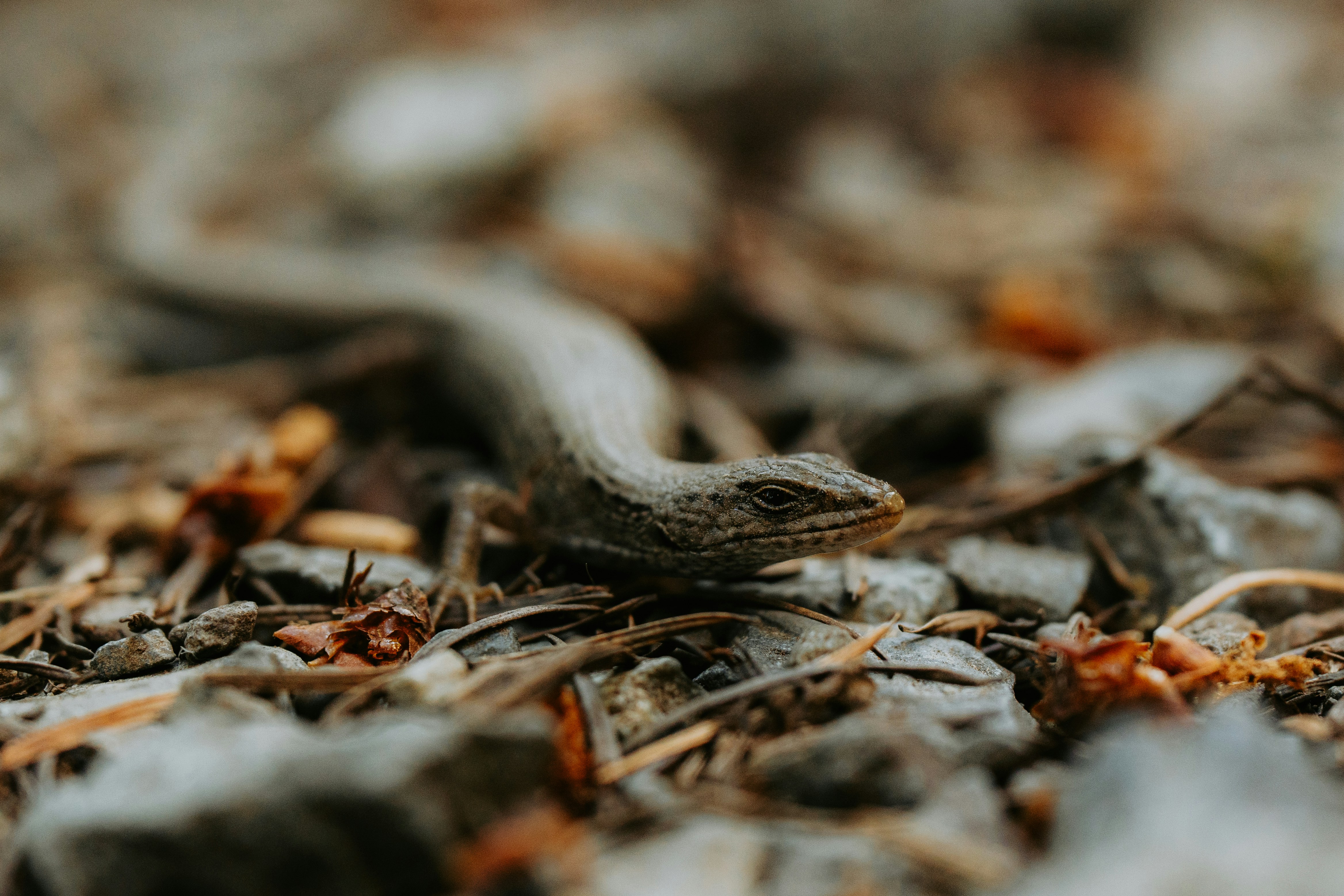 Photo by bylukemiller