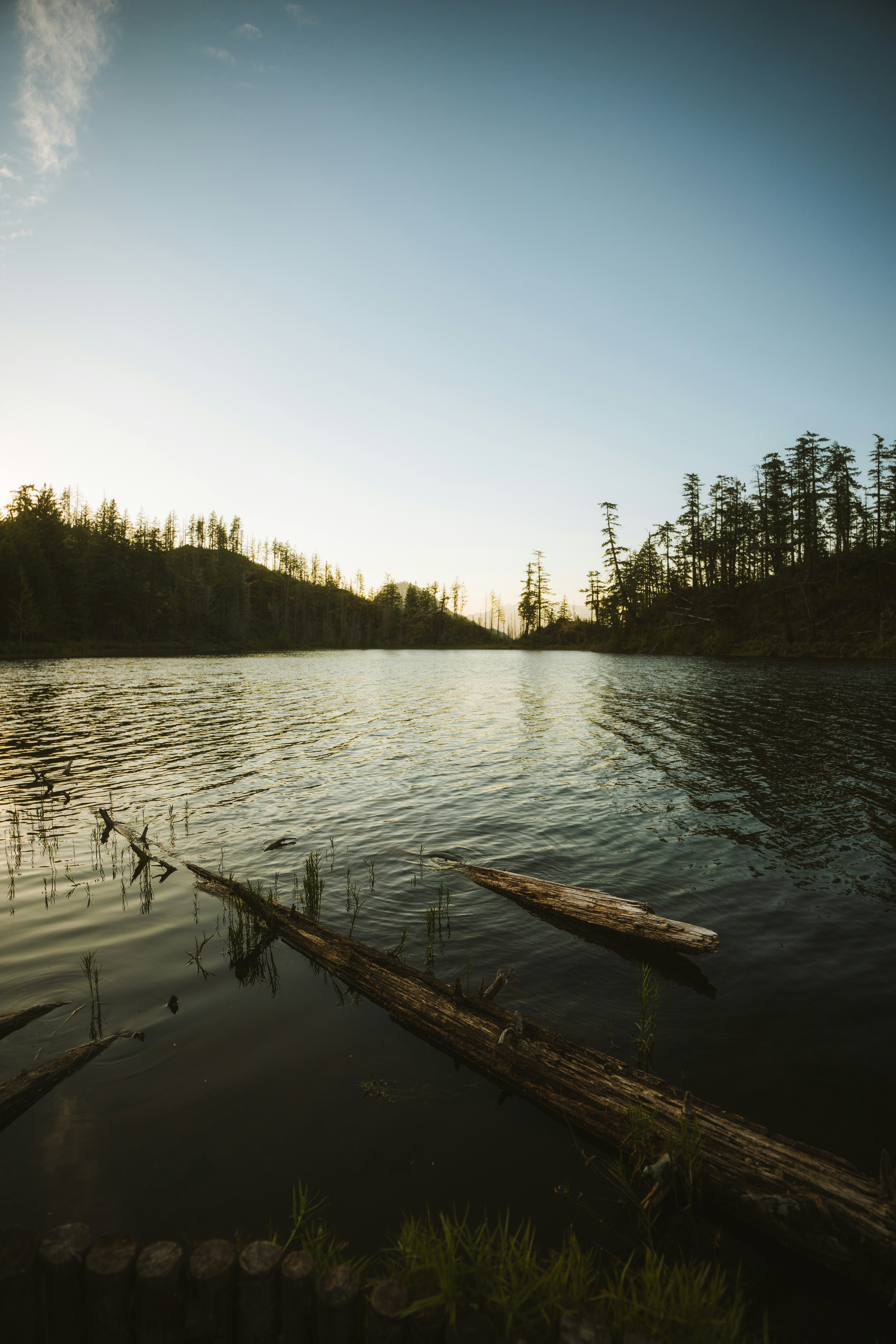 Photo by bylukemiller