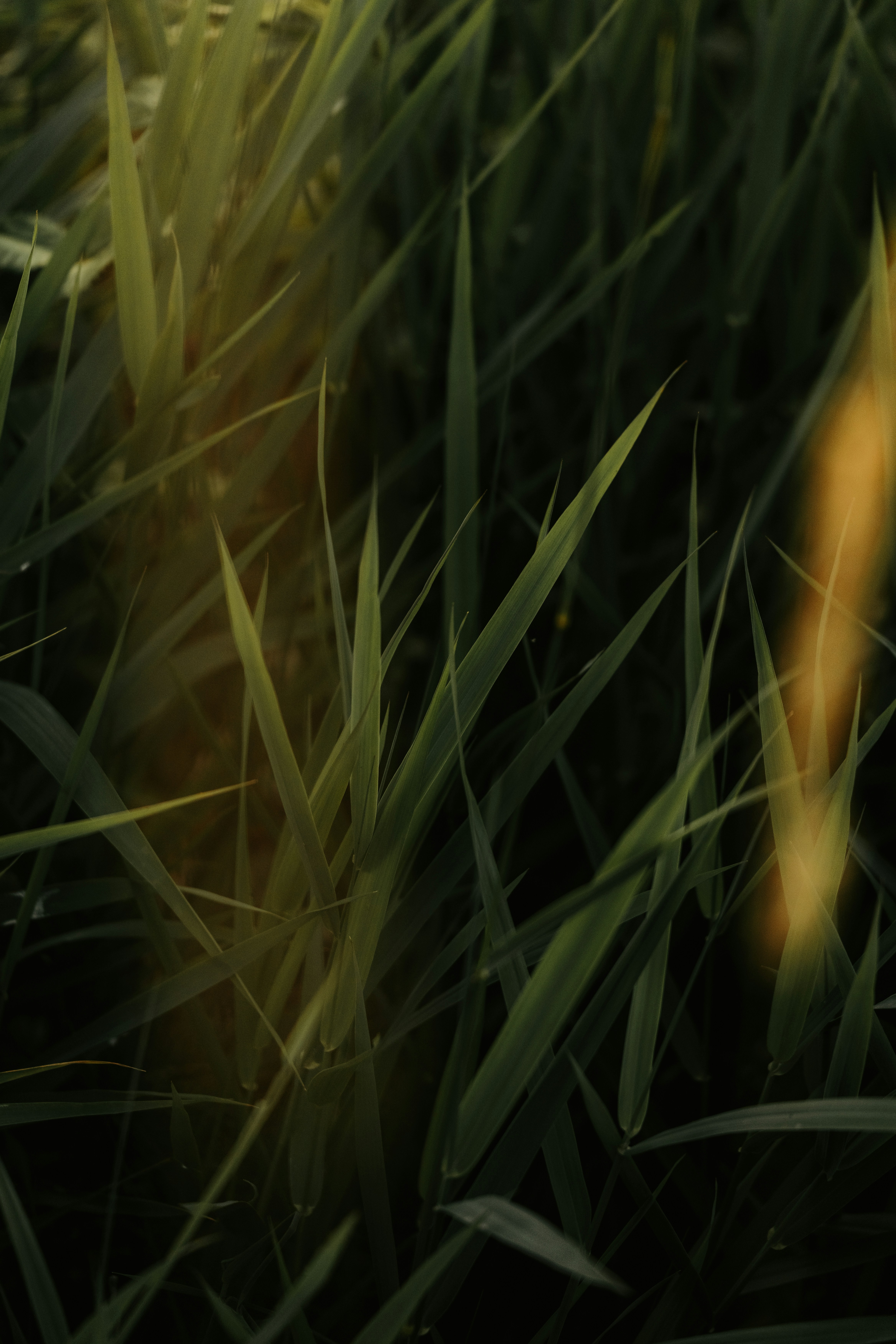 Photo by bylukemiller