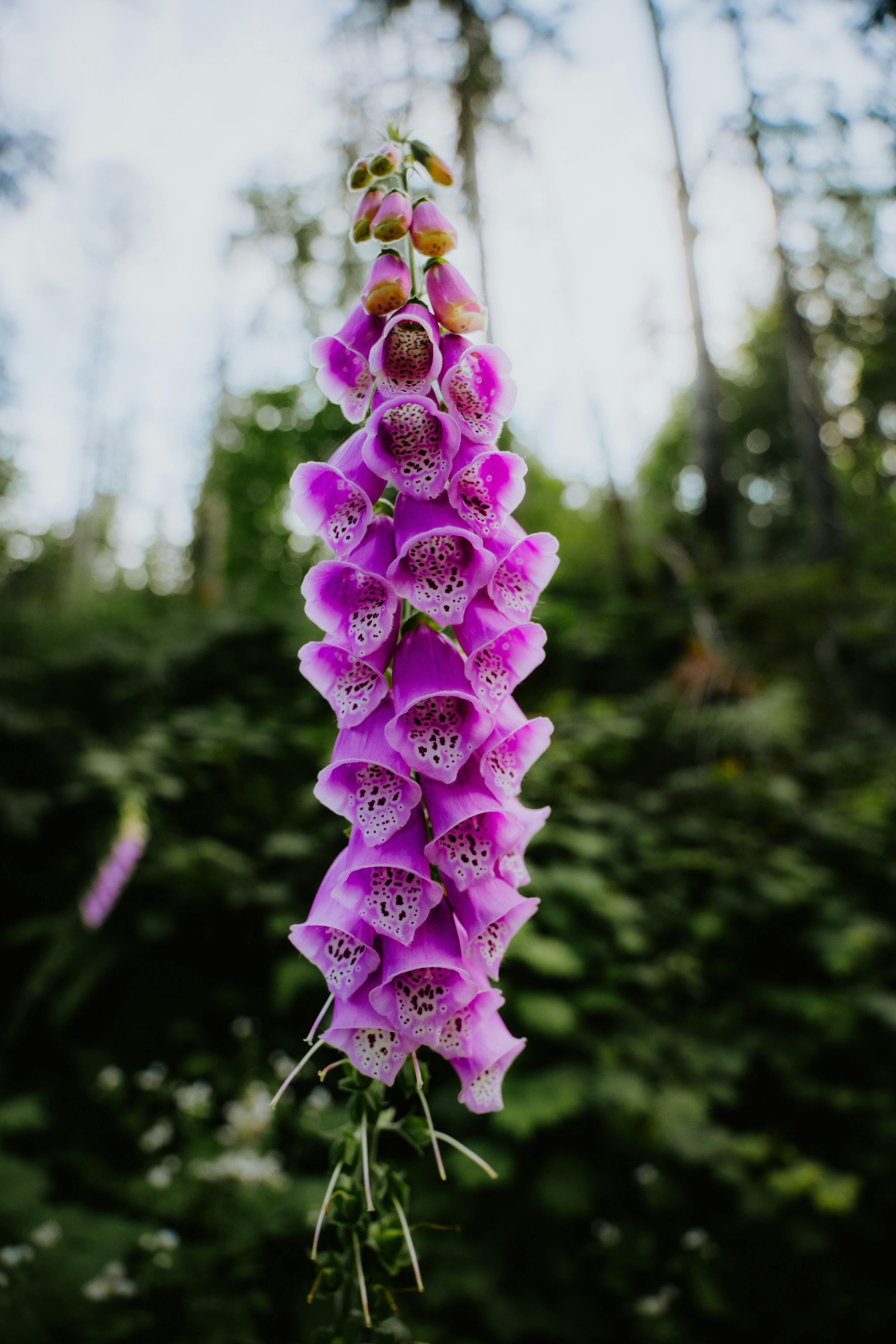 Photo by bylukemiller