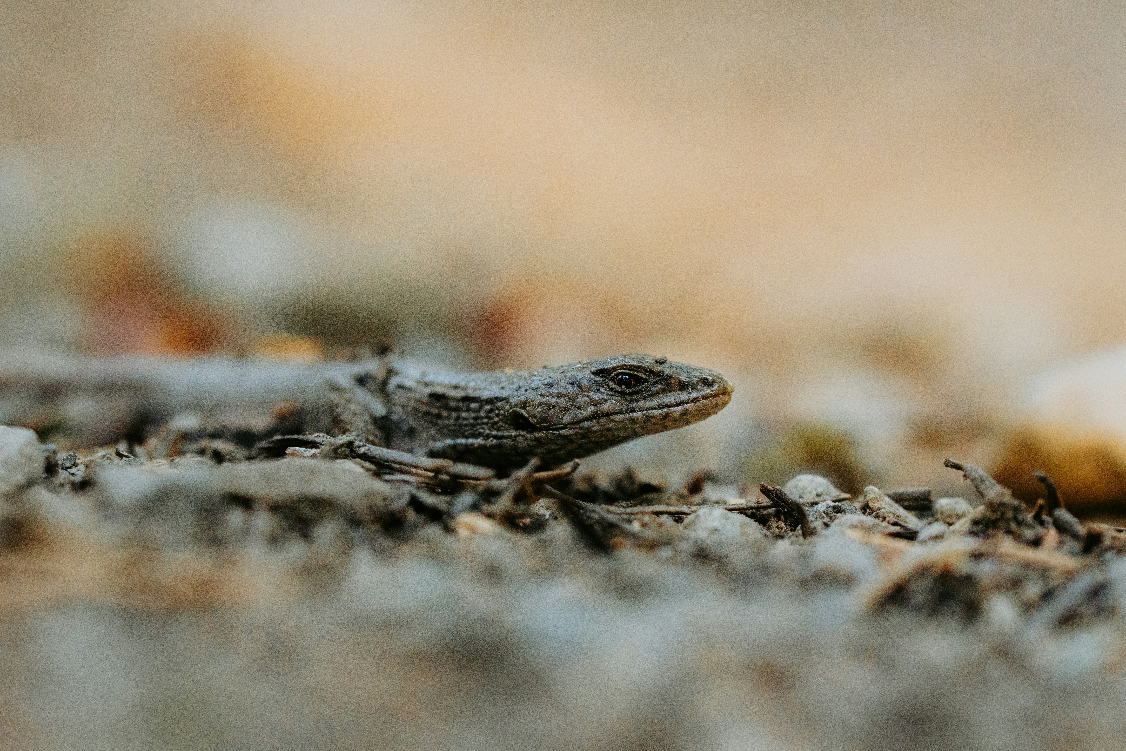 Photo by bylukemiller