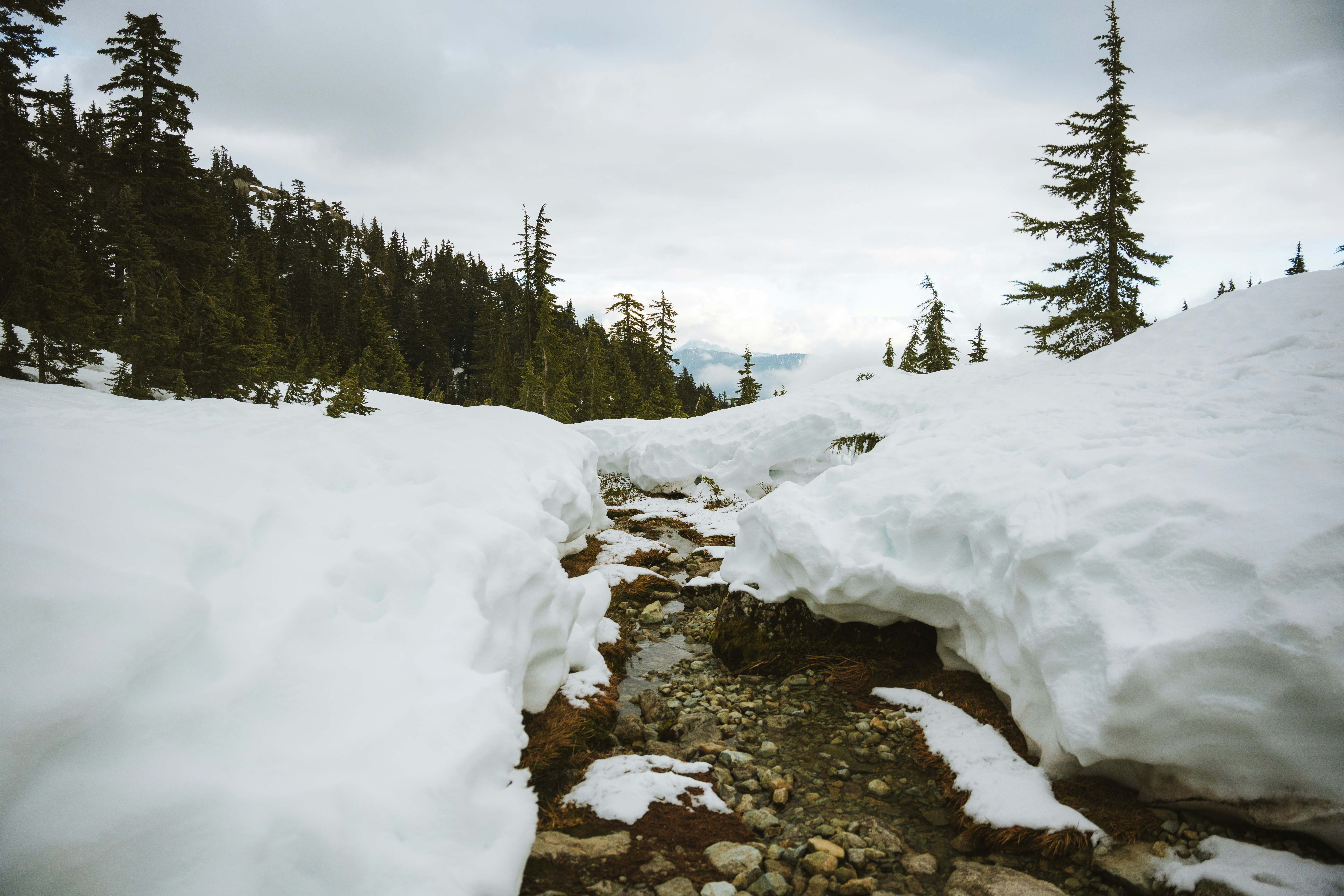 Photo by bylukemiller