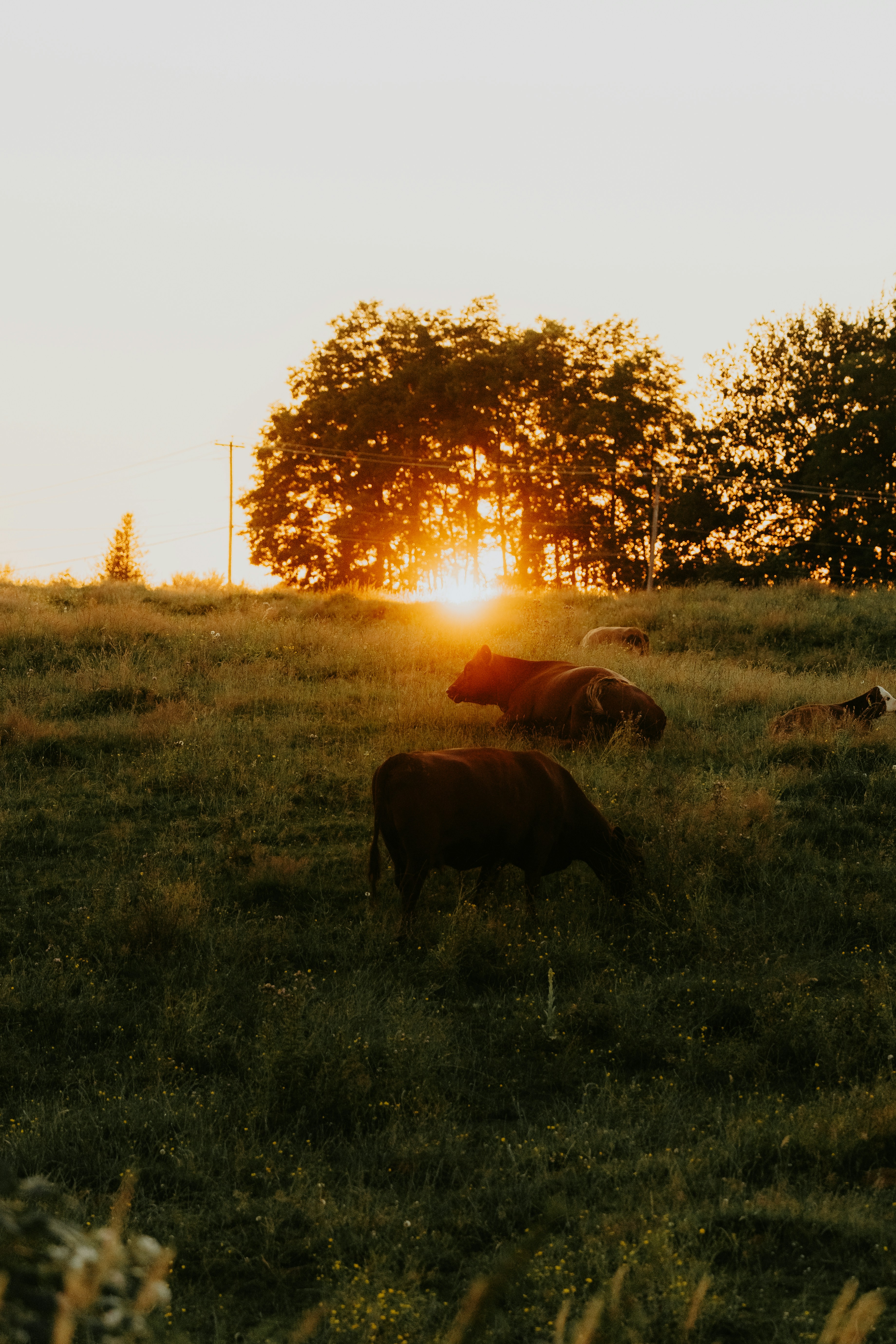 Photo by bylukemiller