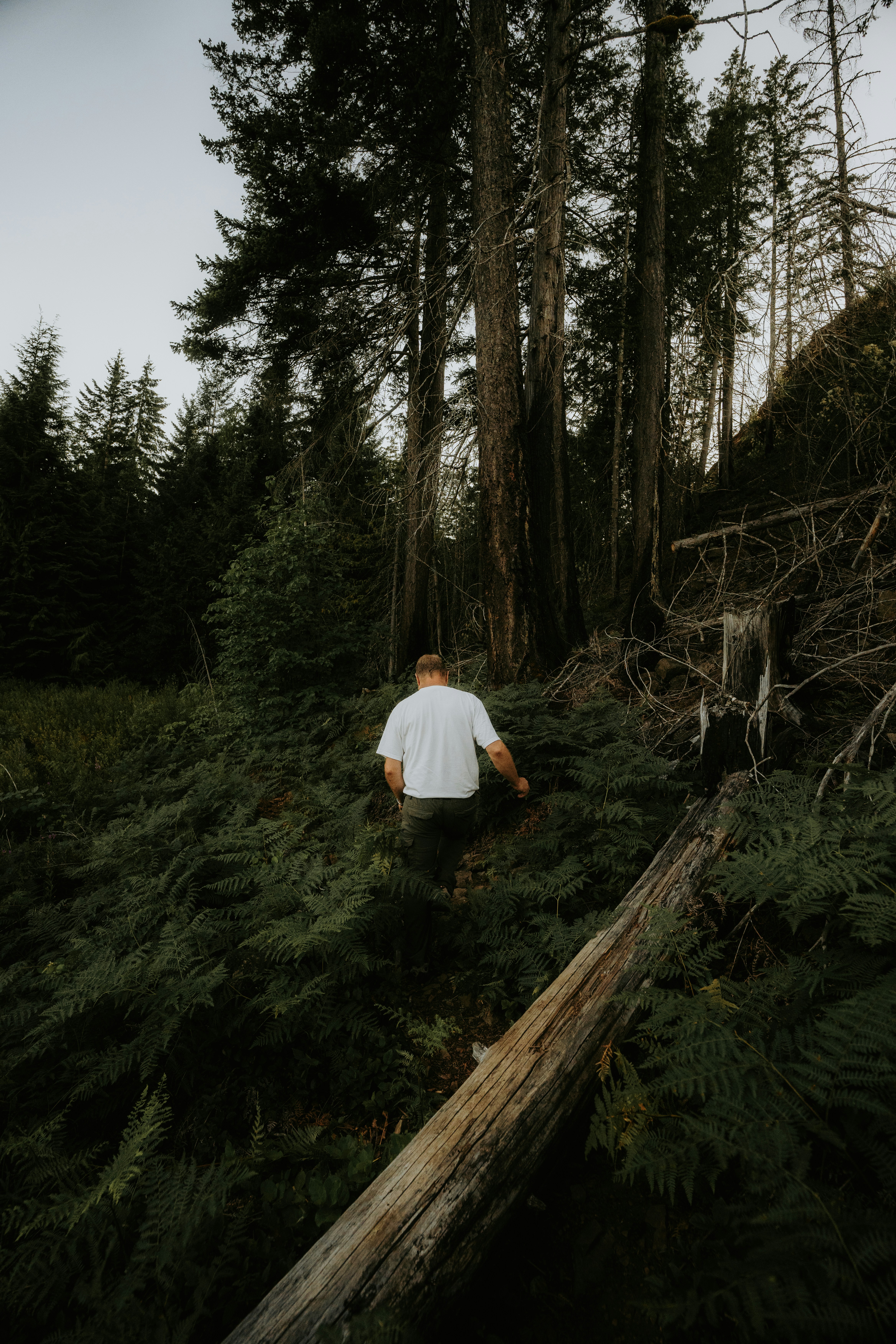 Photo by bylukemiller