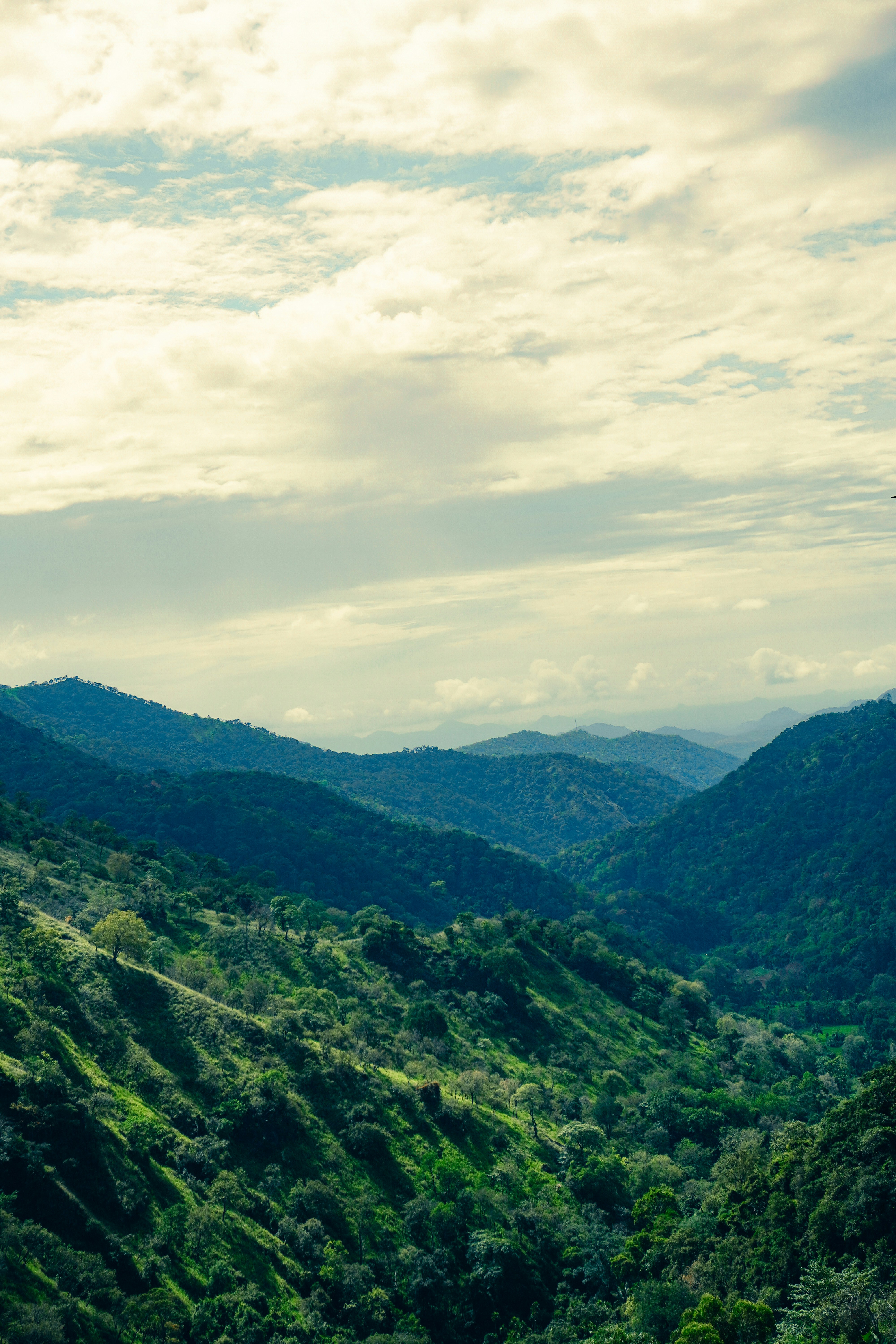 Photo by pparimita19