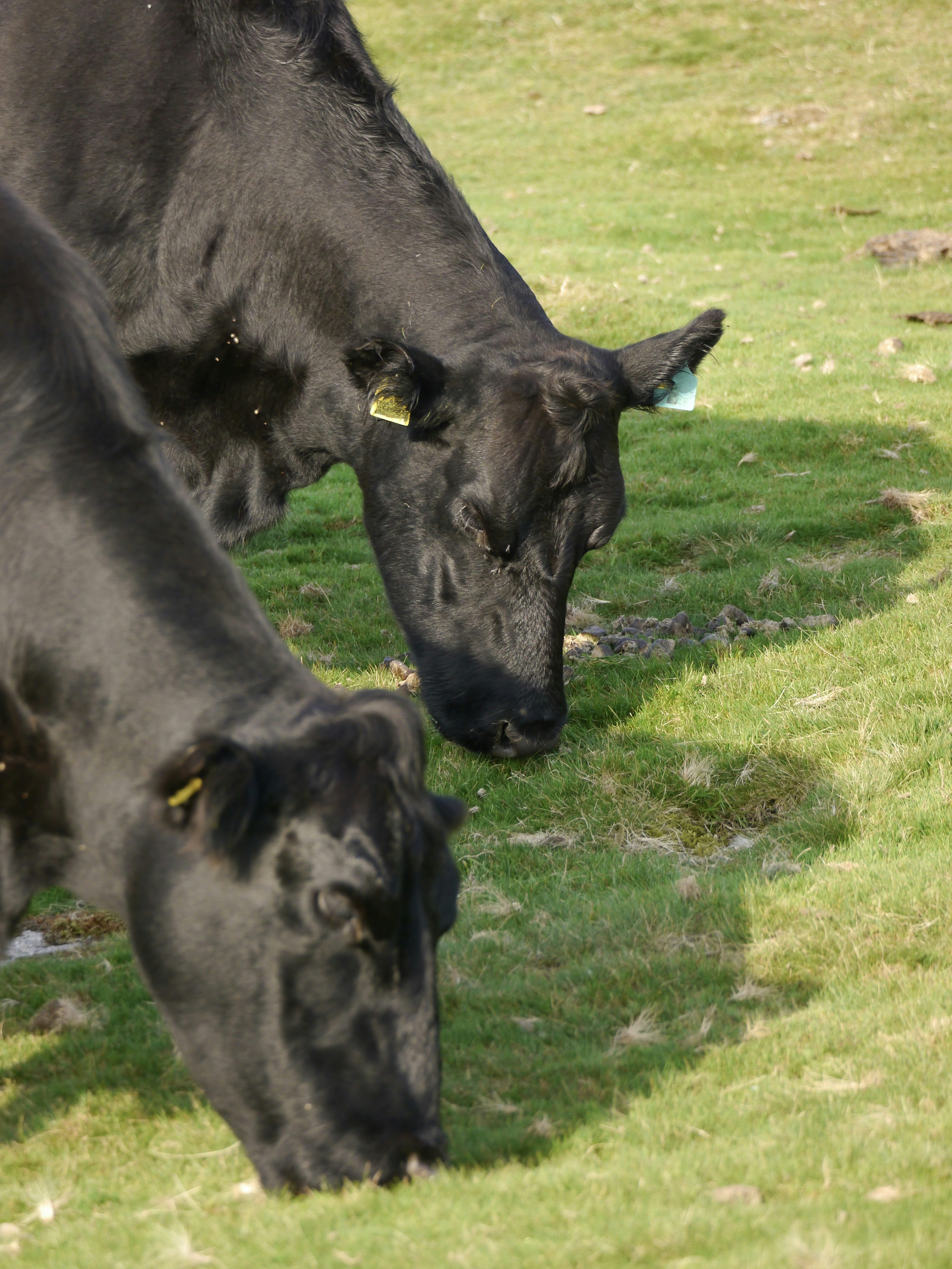 Photo by iqsphotography