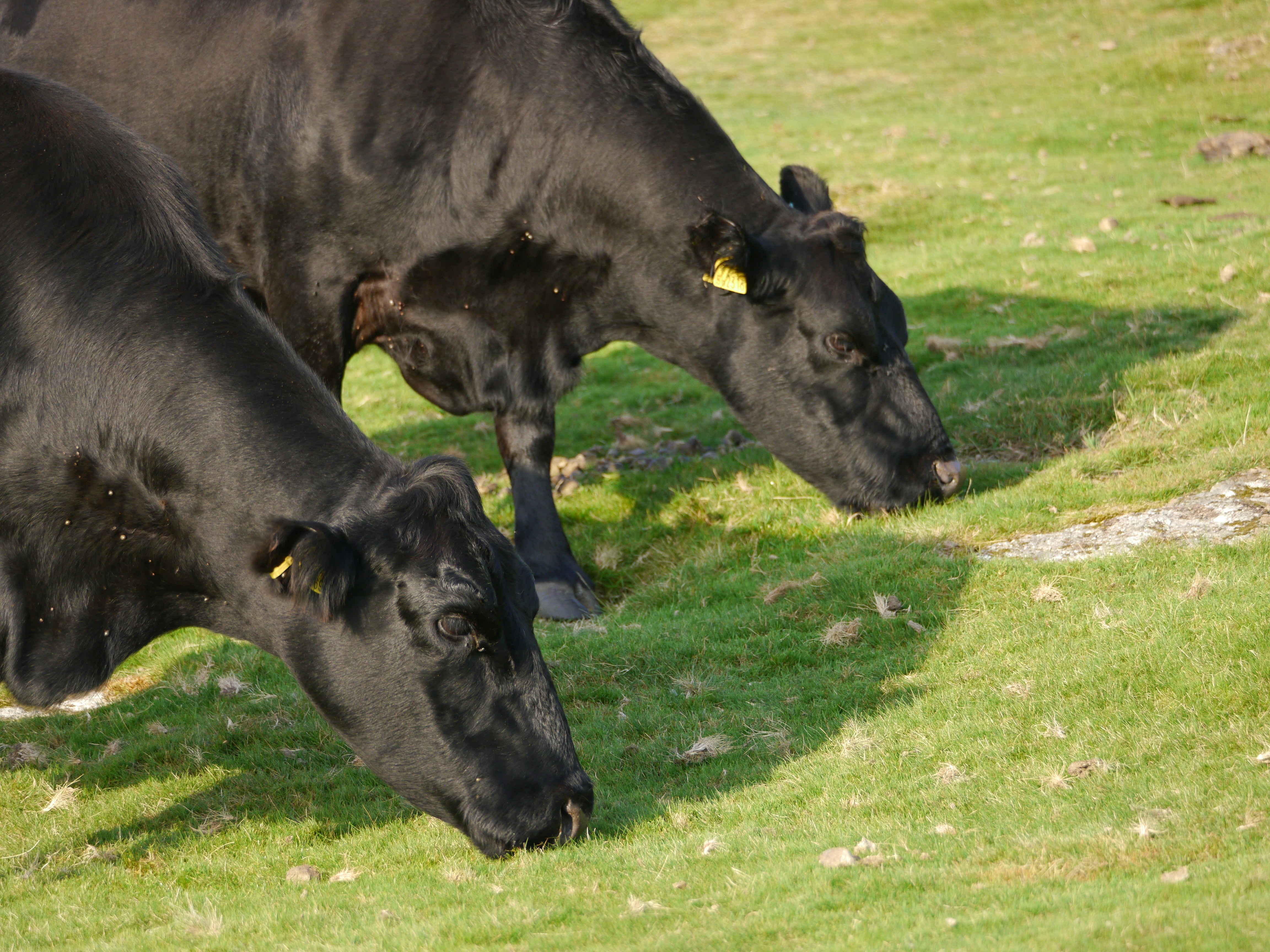 Photo by iqsphotography