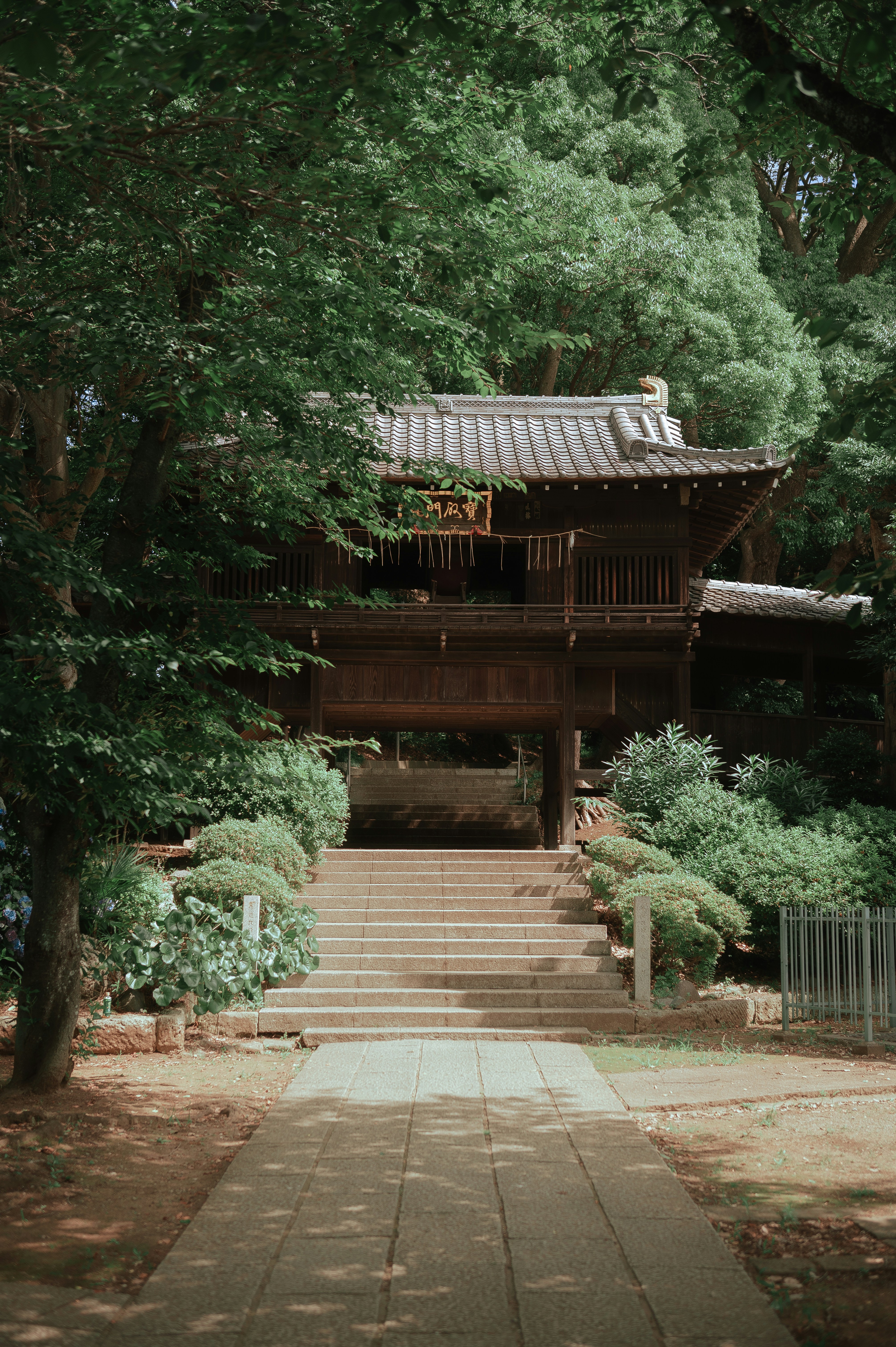 Photo by ryunosuke_kikuno