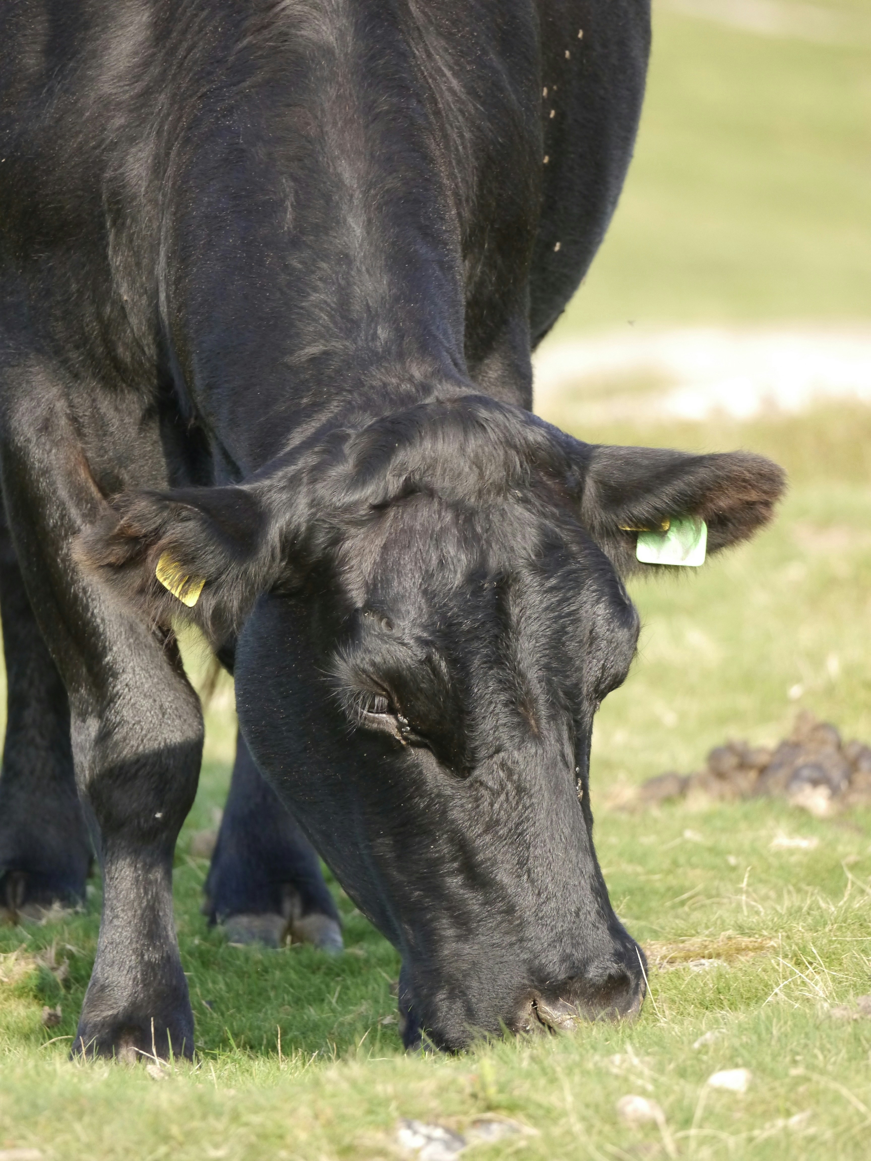 Photo by iqsphotography