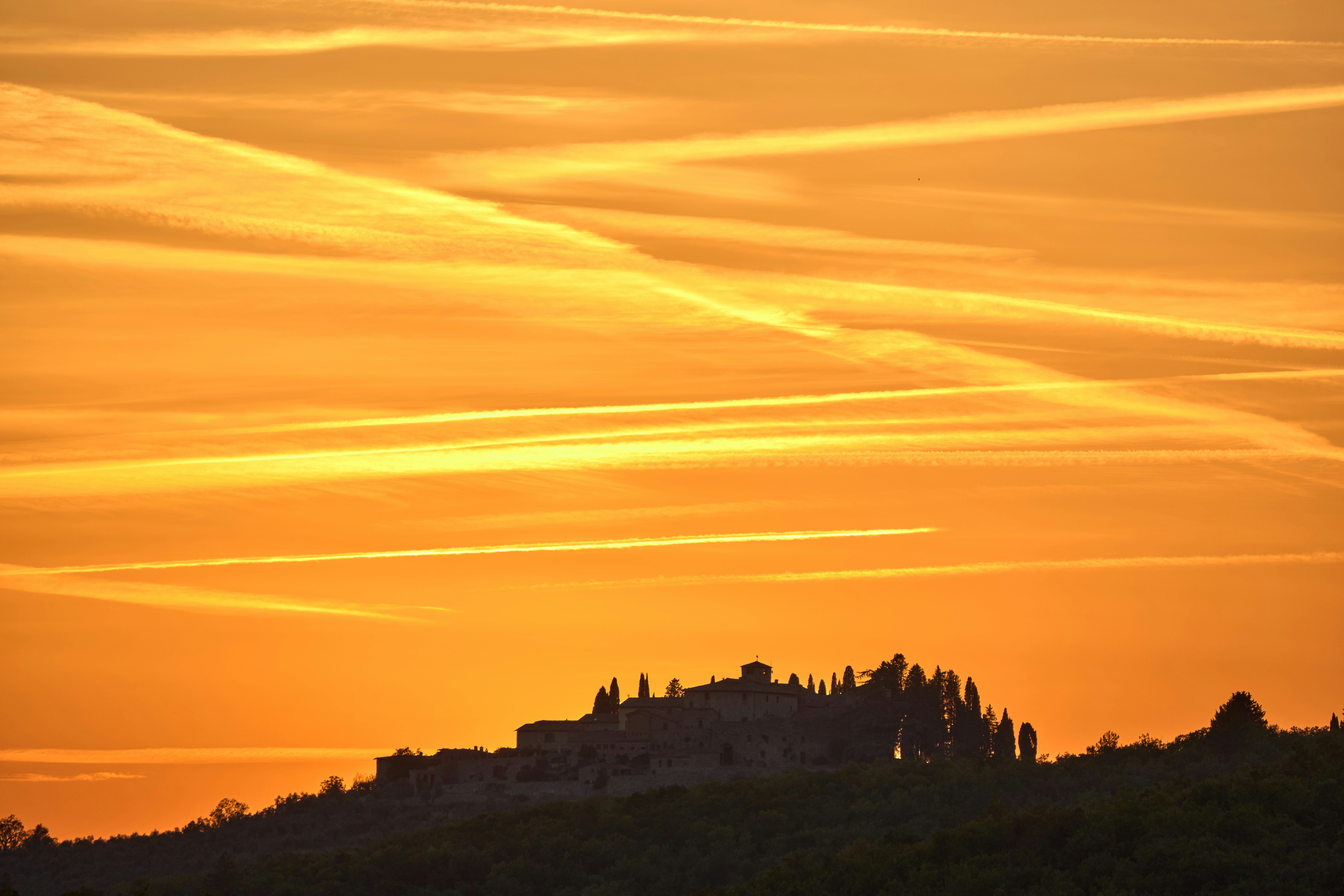 Photo by wolfgang_hasselmann