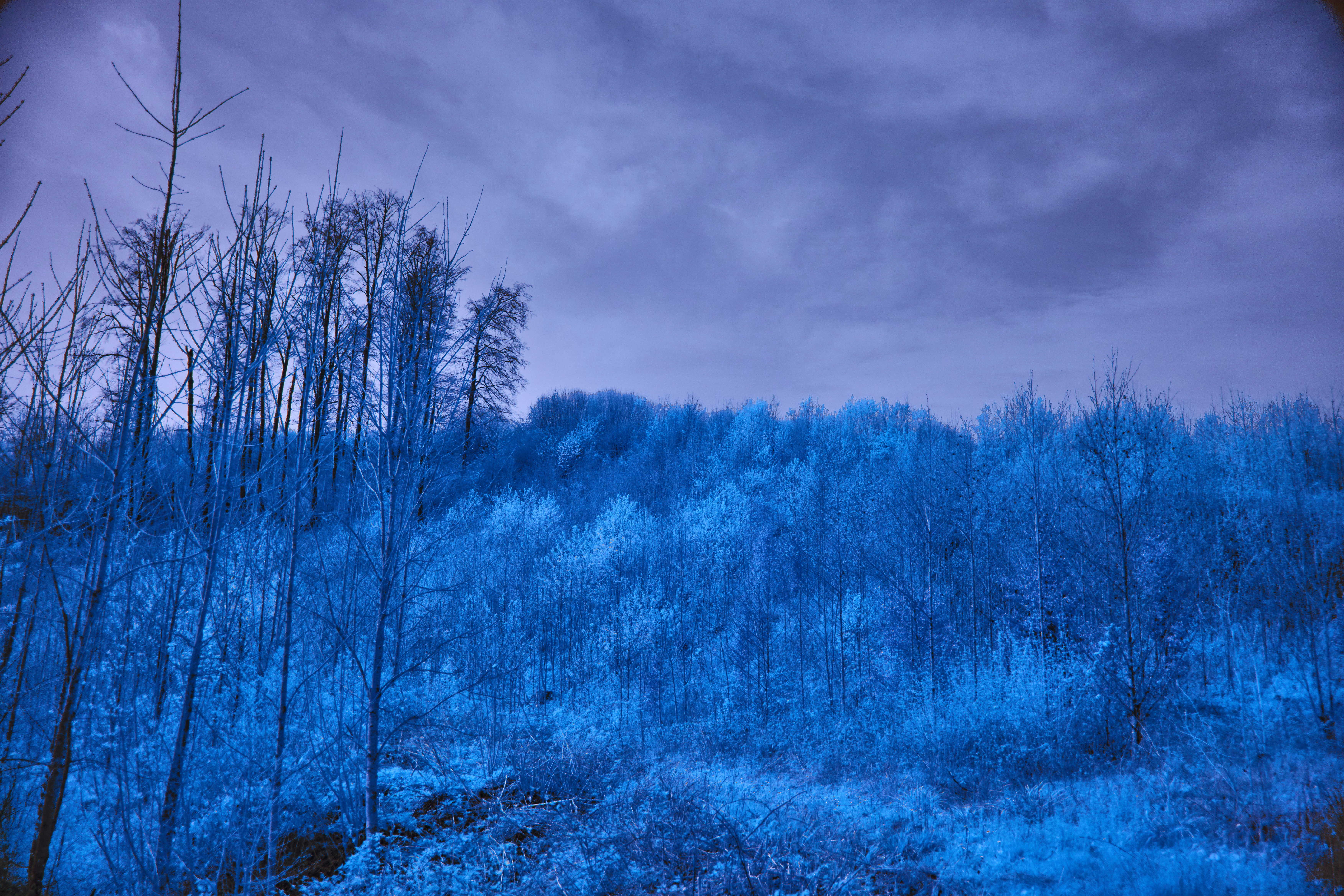 Photo by wolfgang_hasselmann