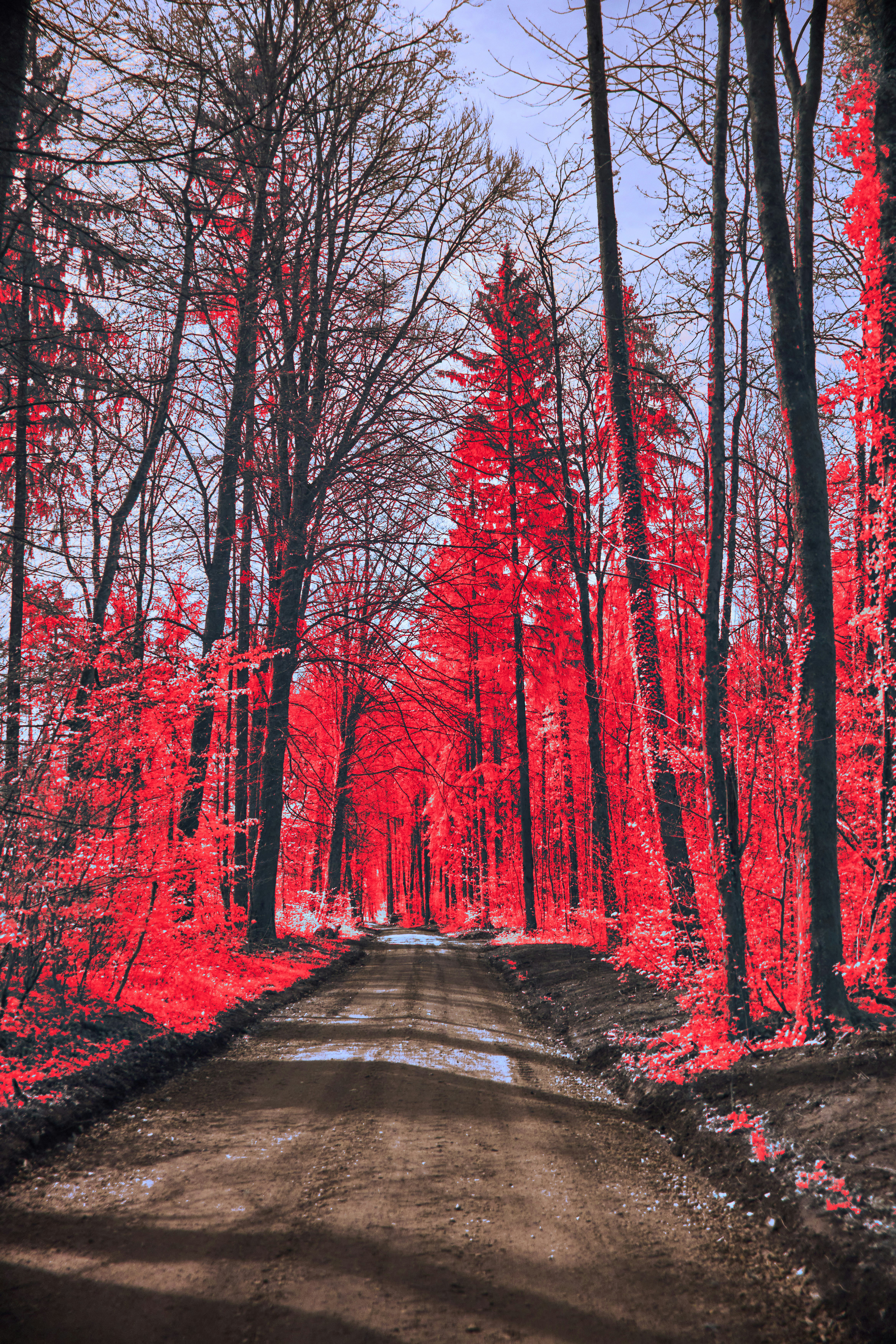 Photo by wolfgang_hasselmann