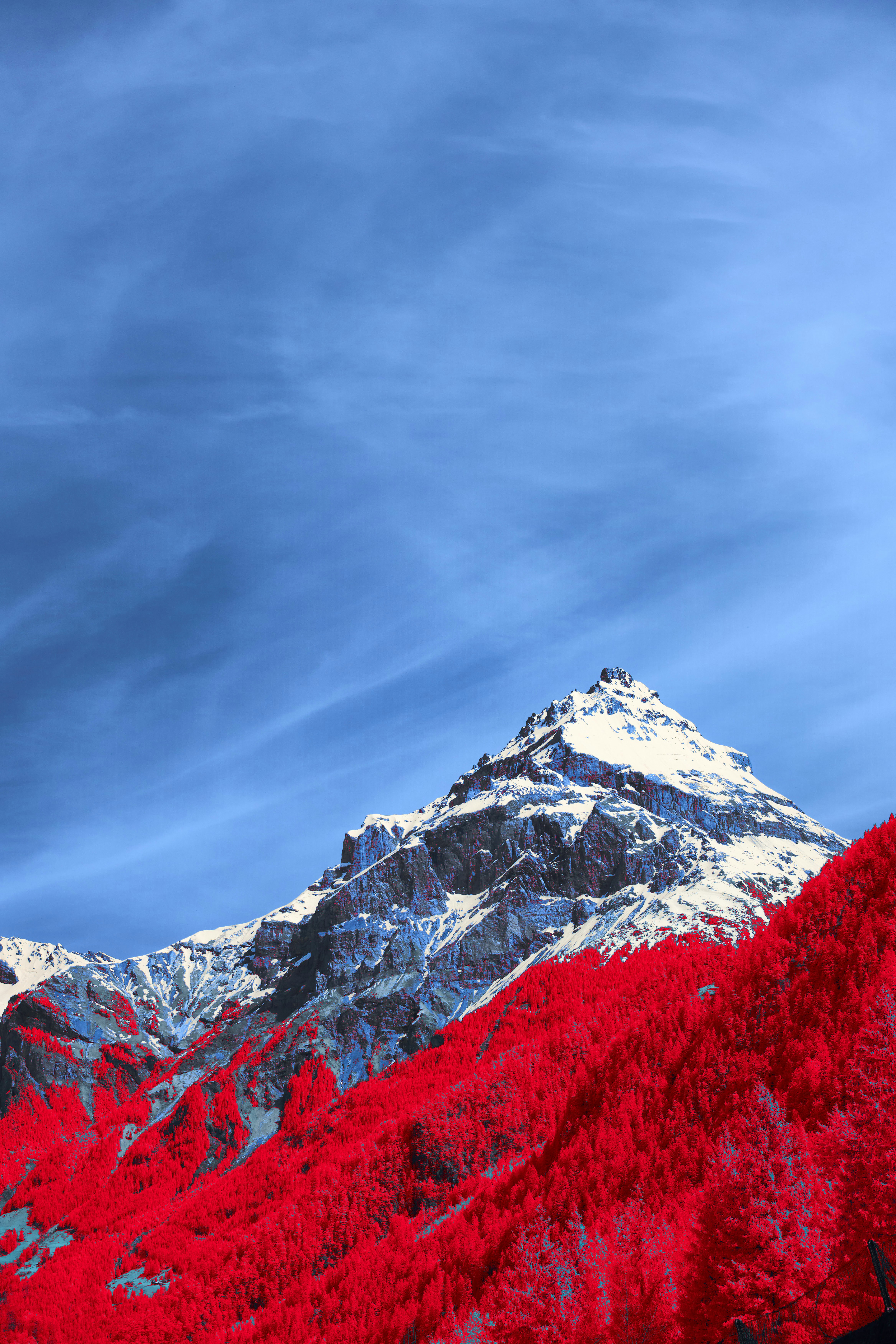 Photo by wolfgang_hasselmann