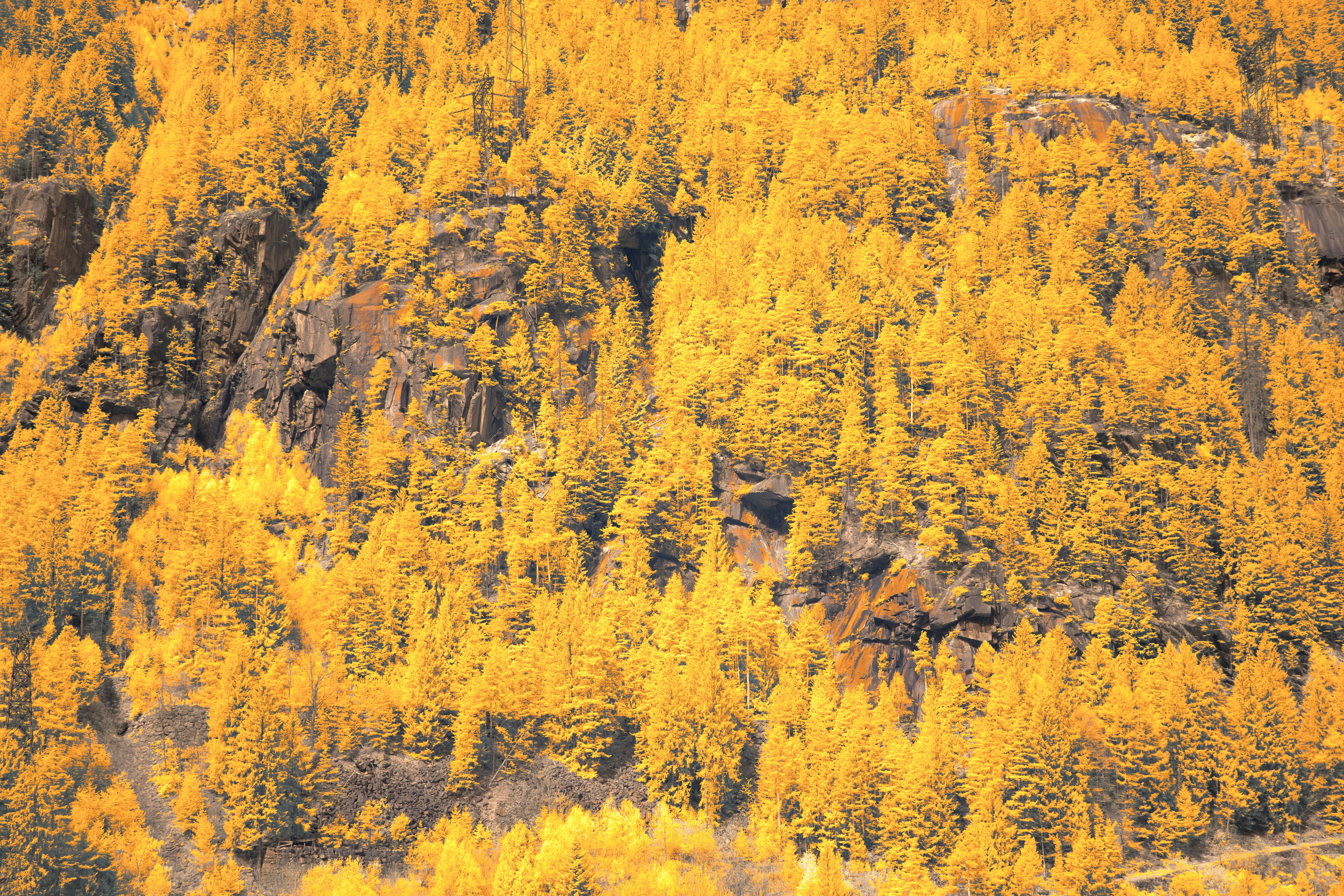 Photo by wolfgang_hasselmann