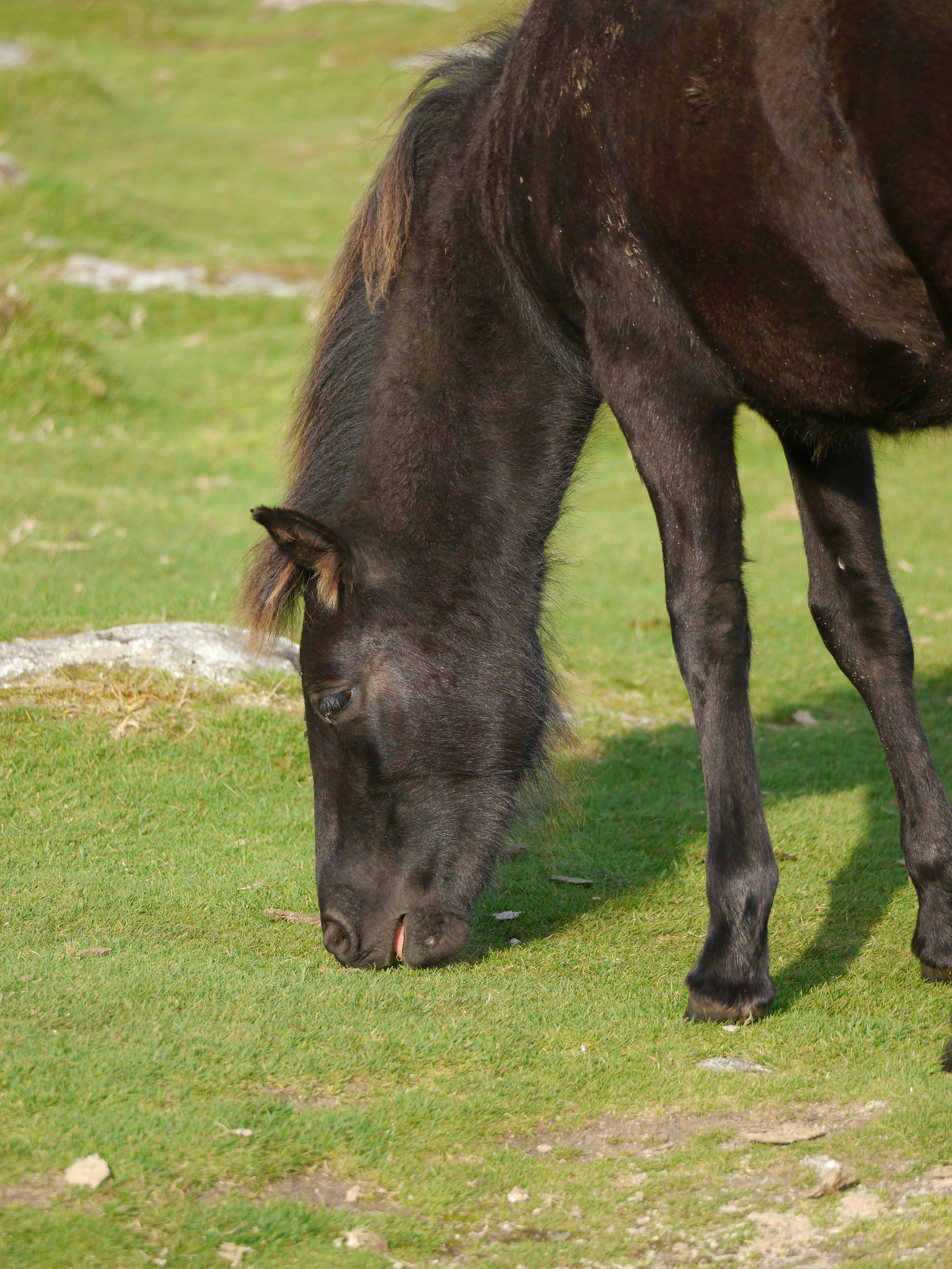 Photo by iqsphotography