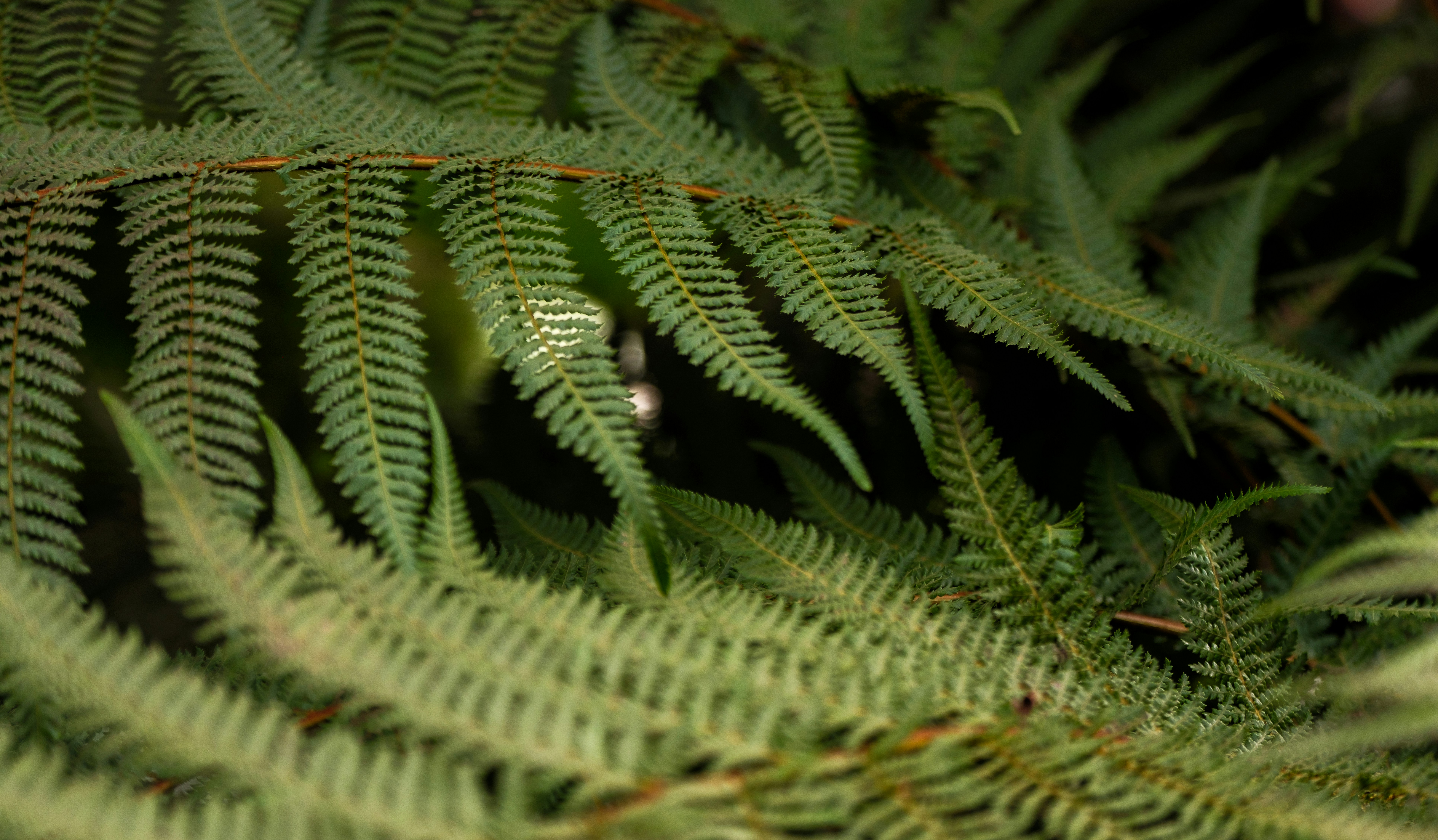 Photo by haberdoedas2