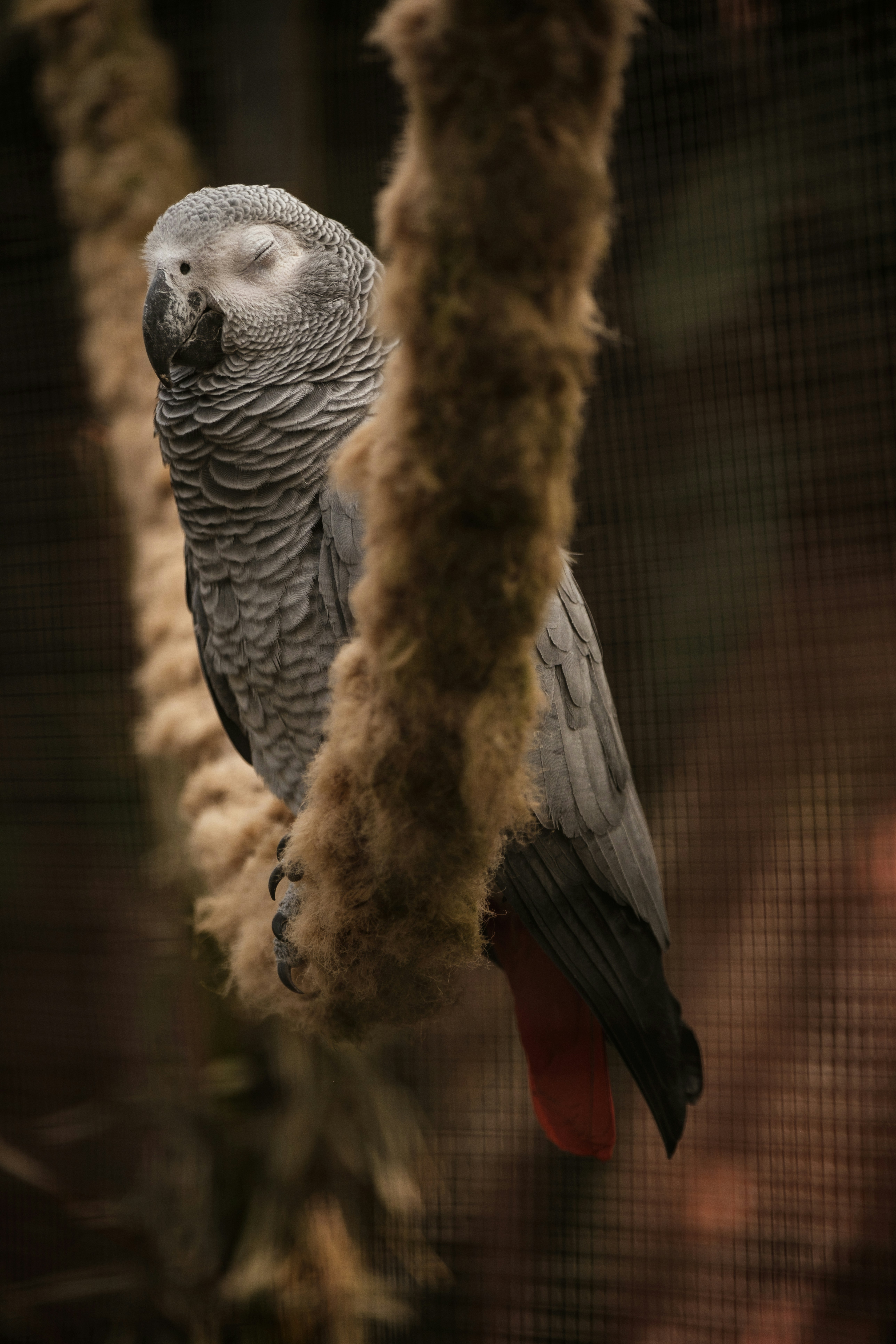 Photo by haberdoedas2