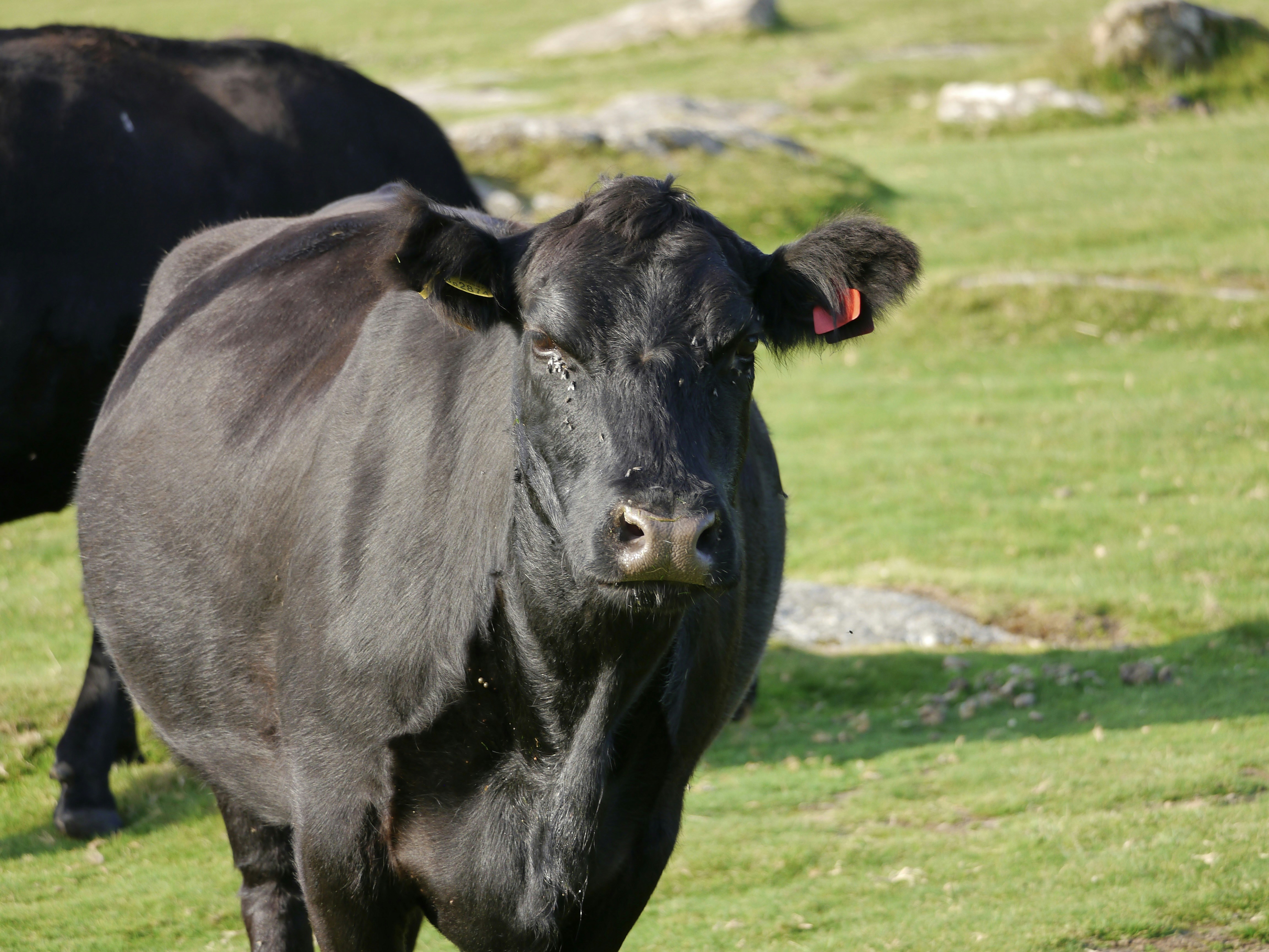 Photo by iqsphotography