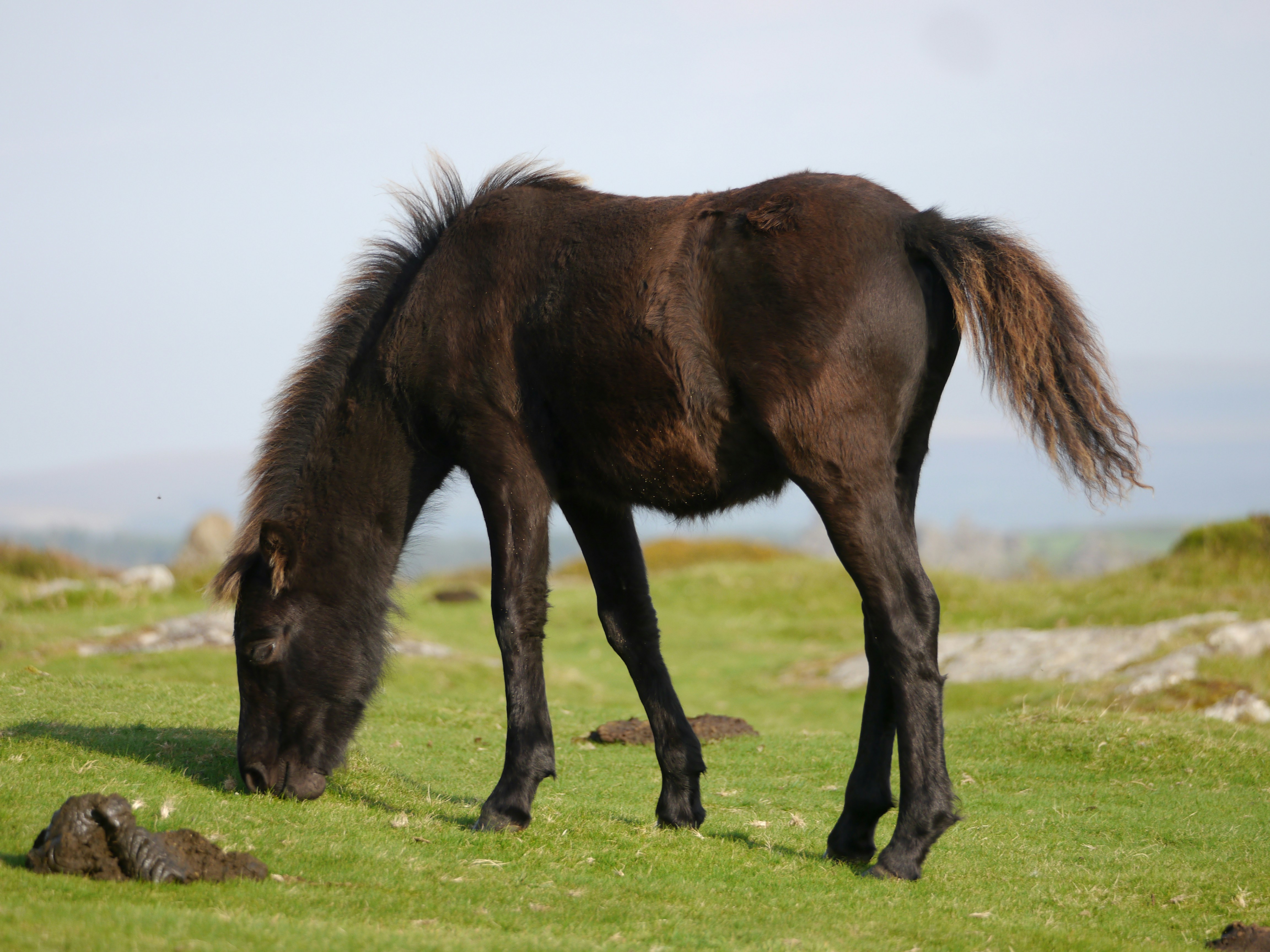 Photo by iqsphotography