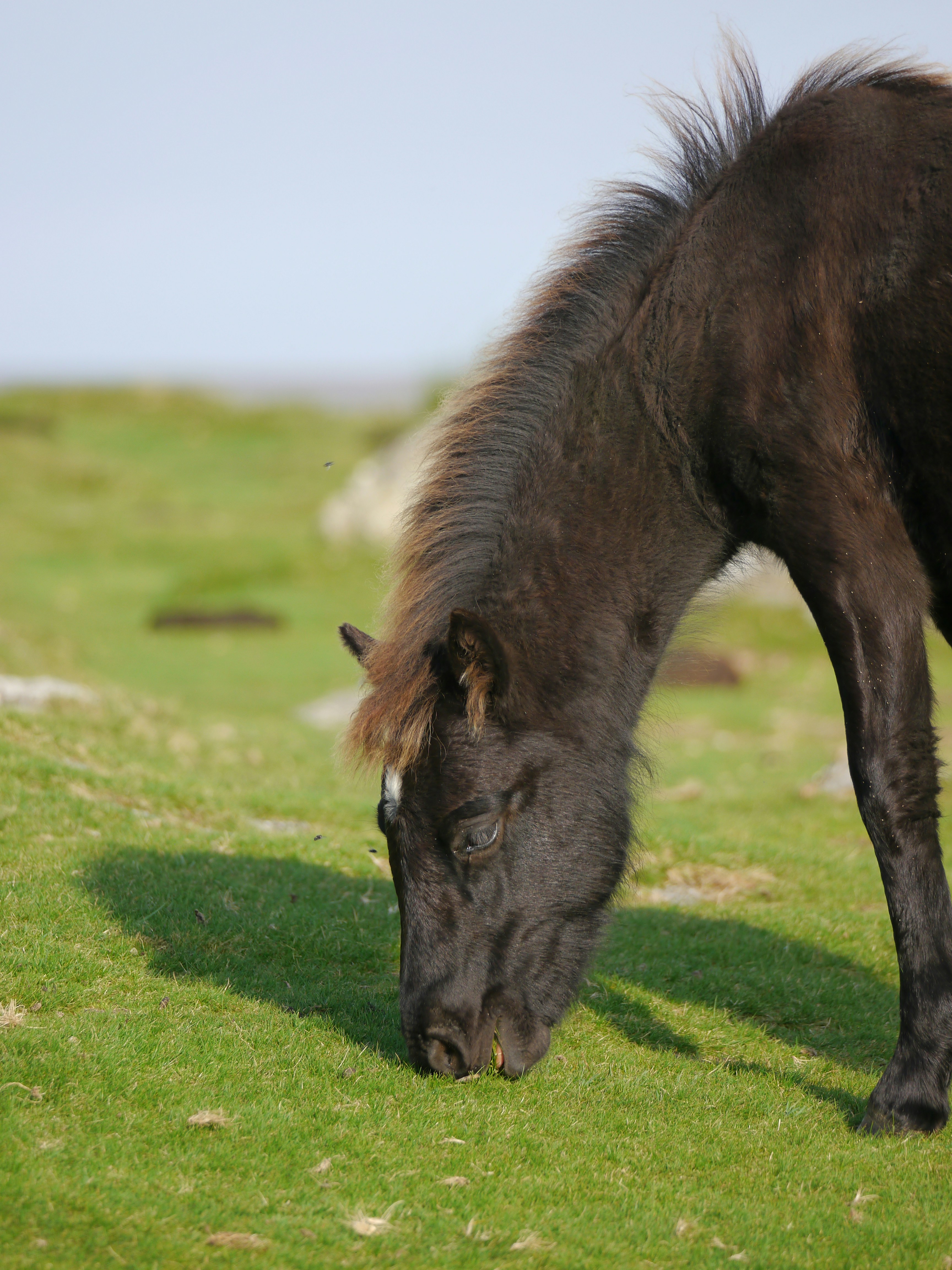 Photo by iqsphotography