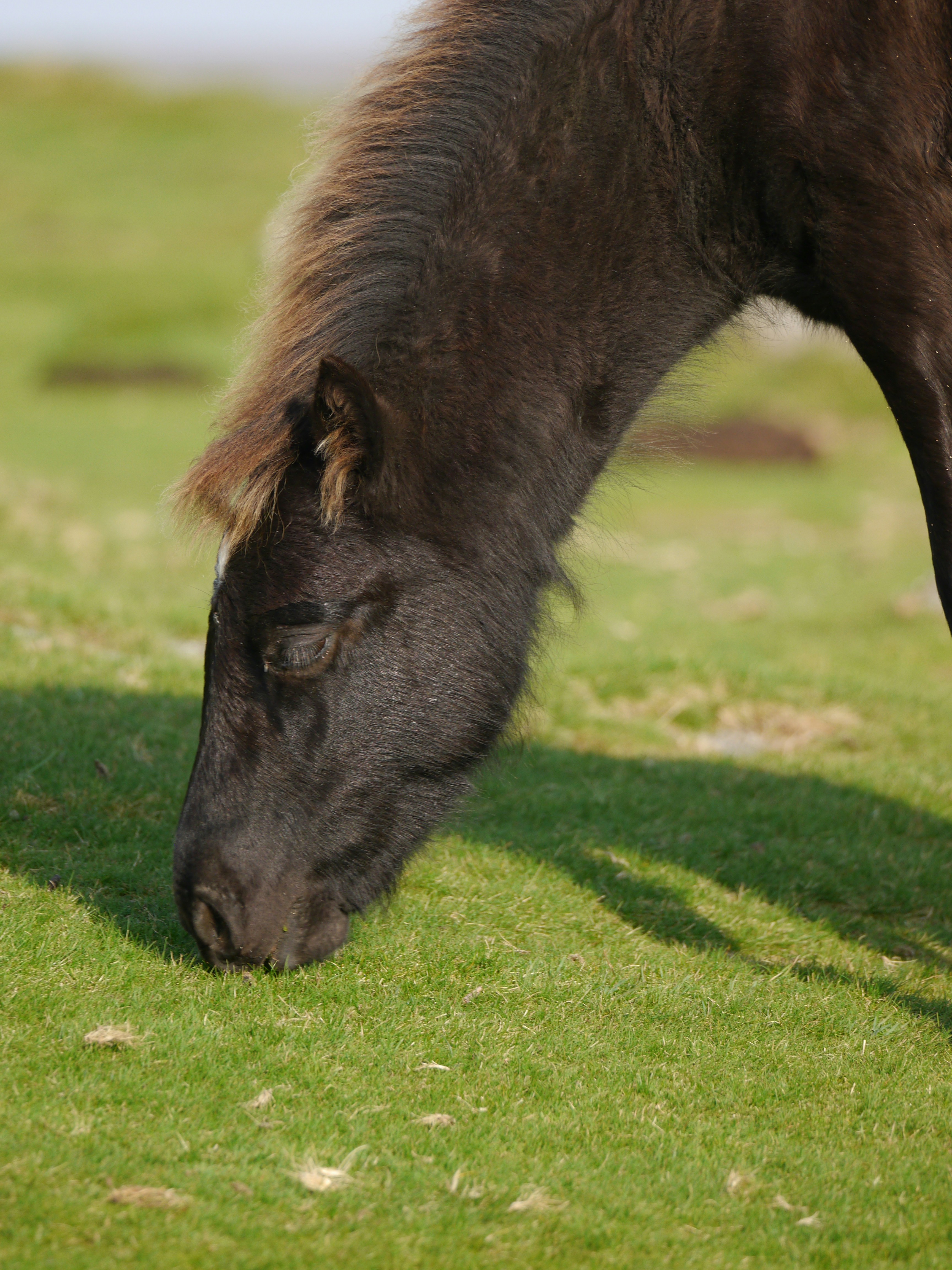 Photo by iqsphotography