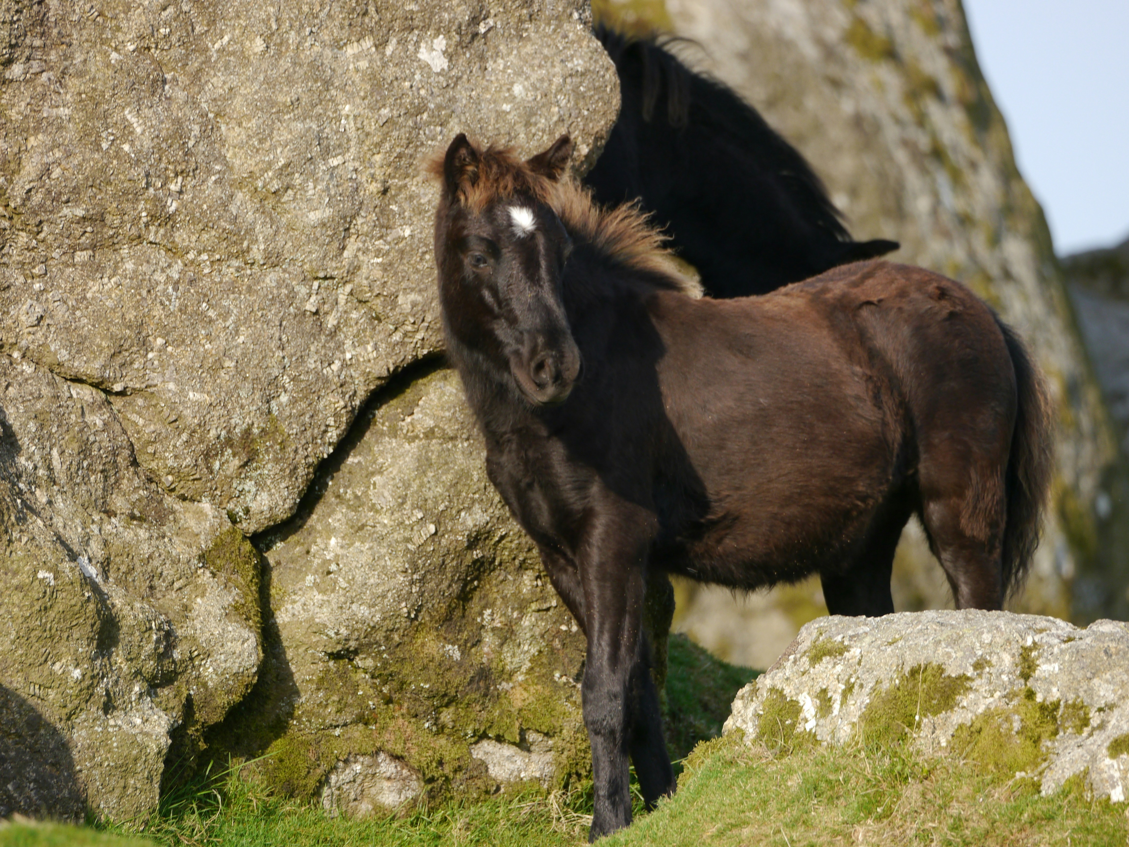 Photo by iqsphotography