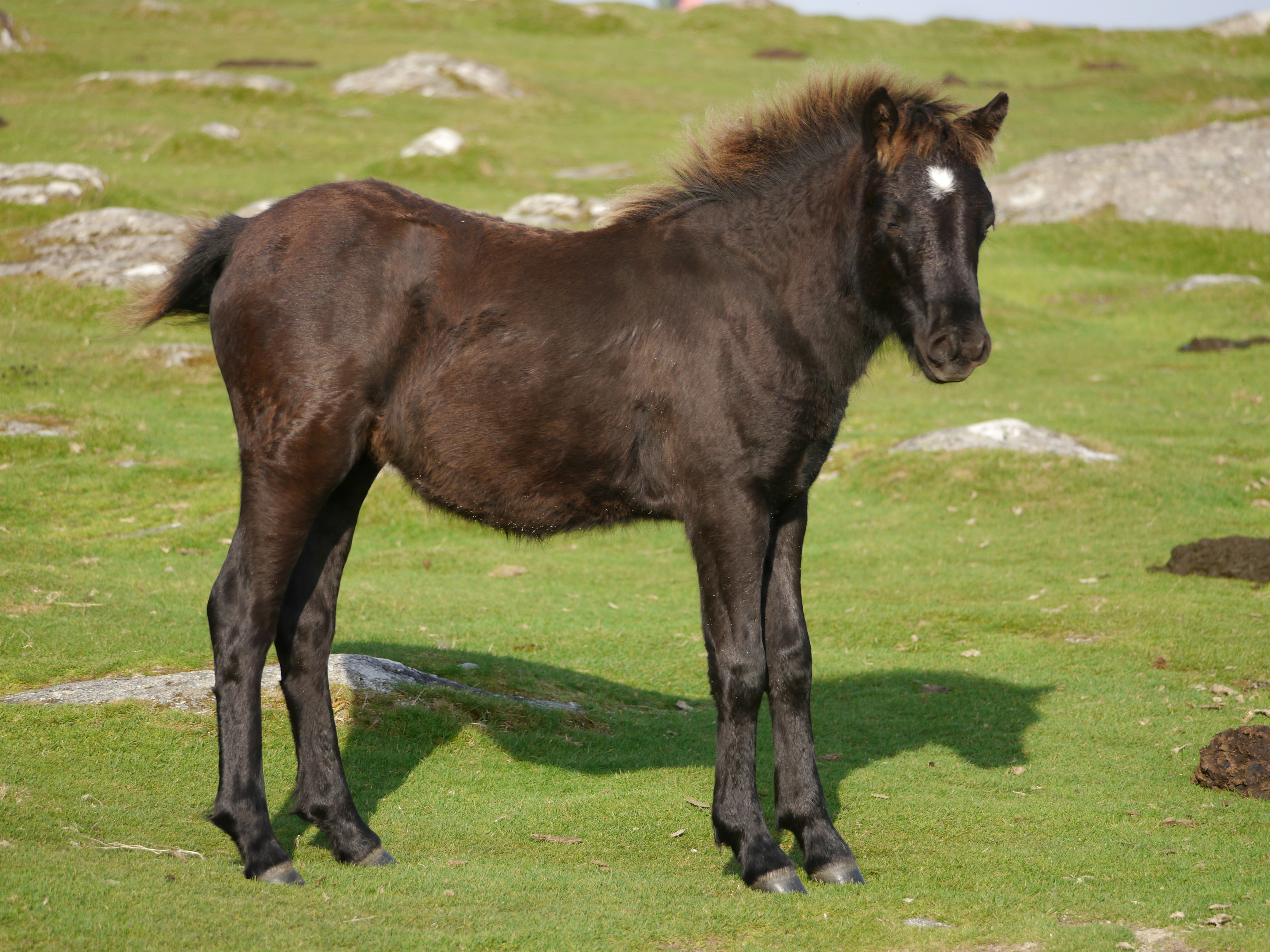 Photo by iqsphotography