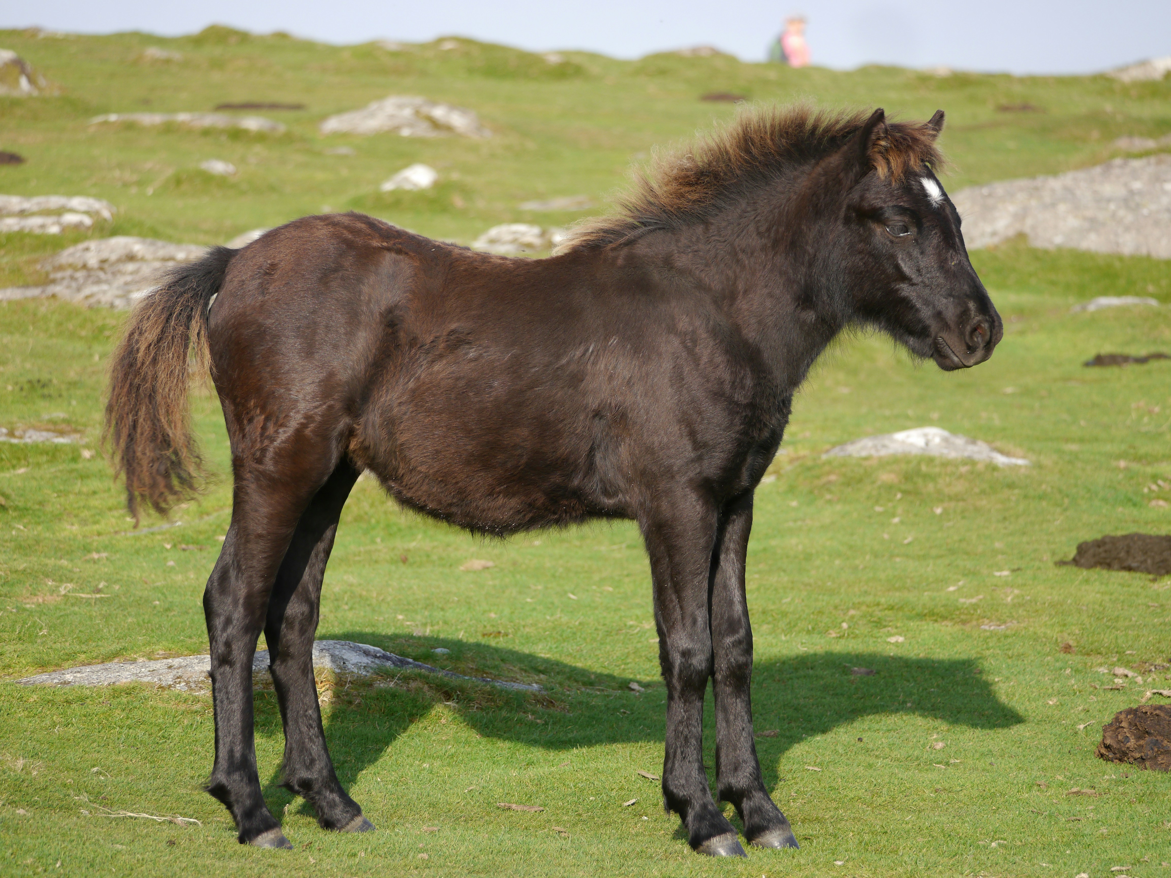 Photo by iqsphotography