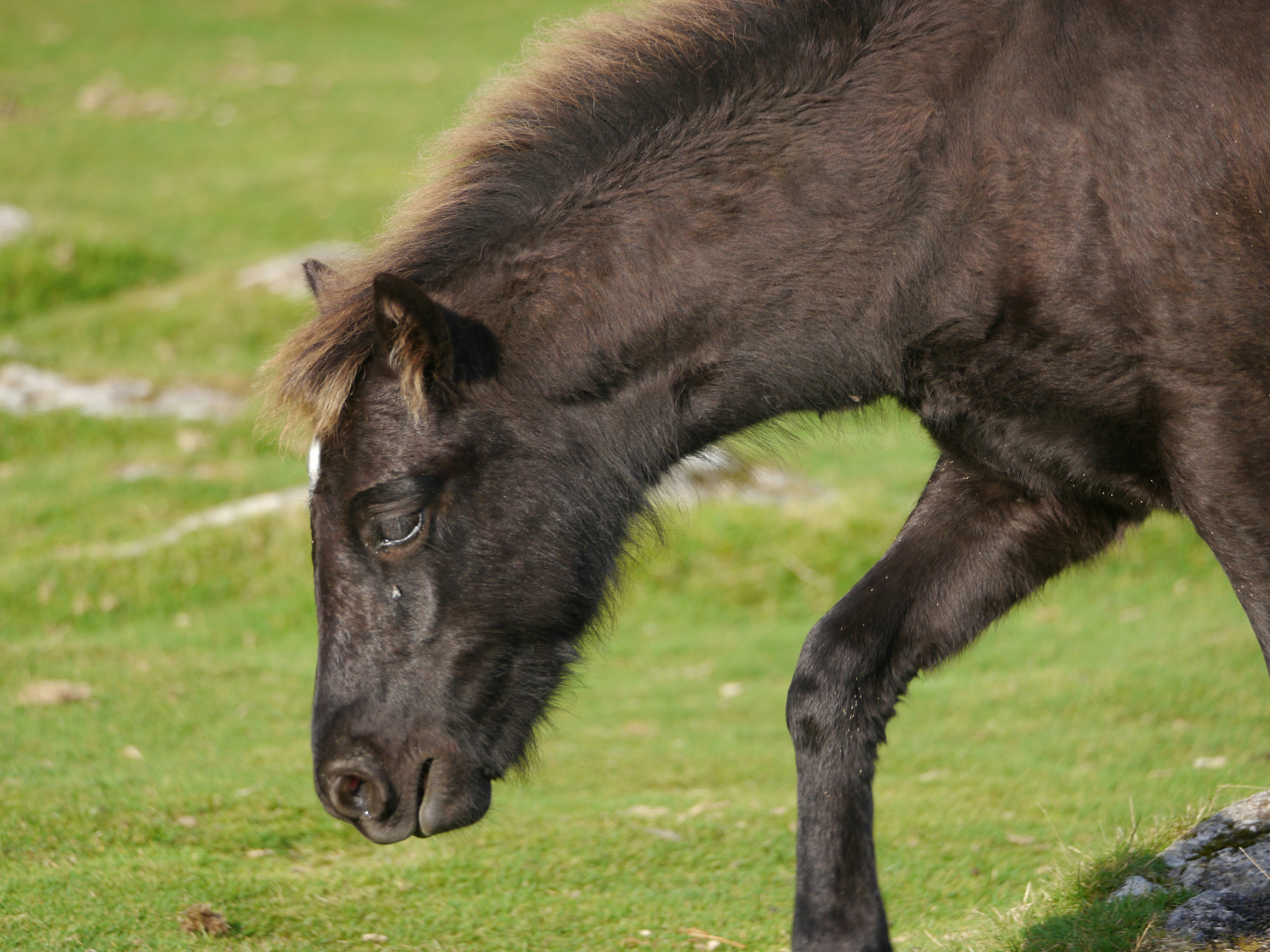 Photo by iqsphotography