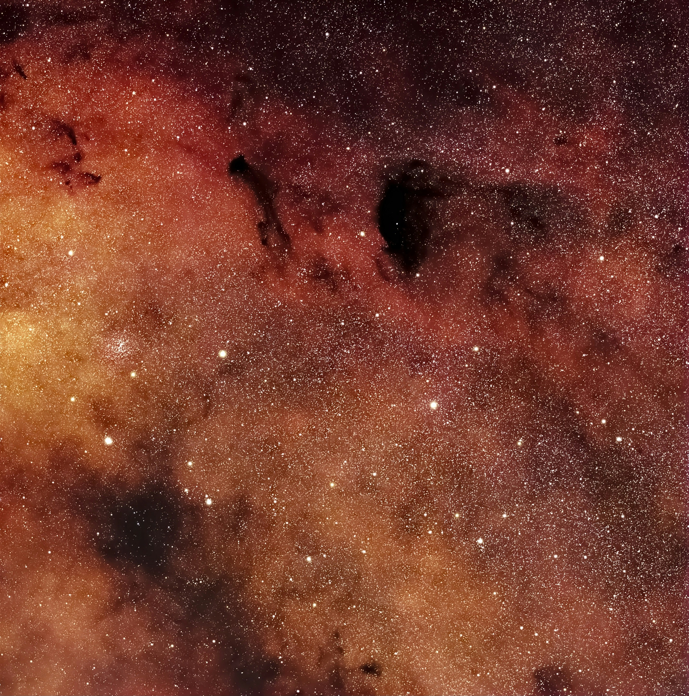 Photo by darkcatimages