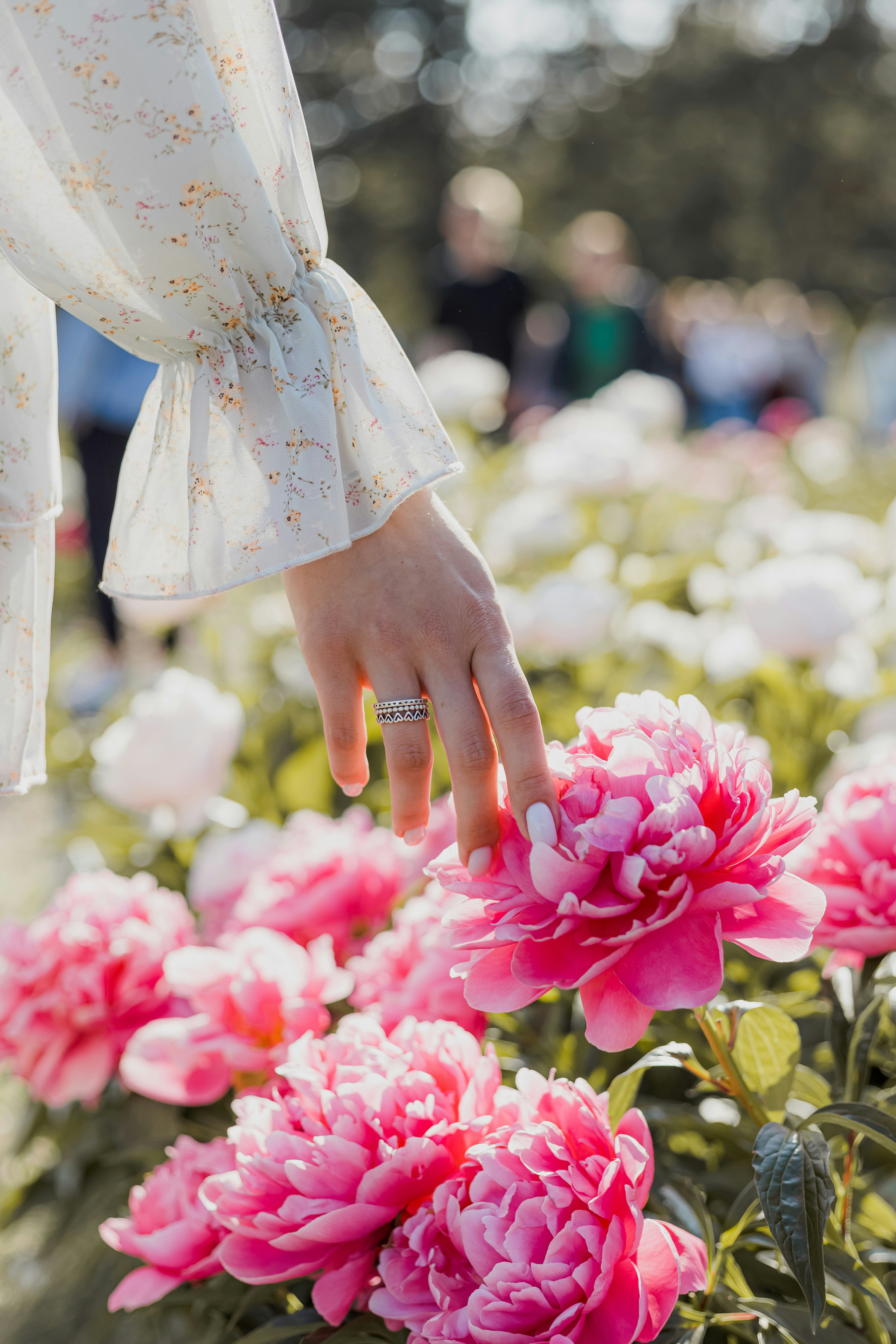 A close up of a person touching a flower