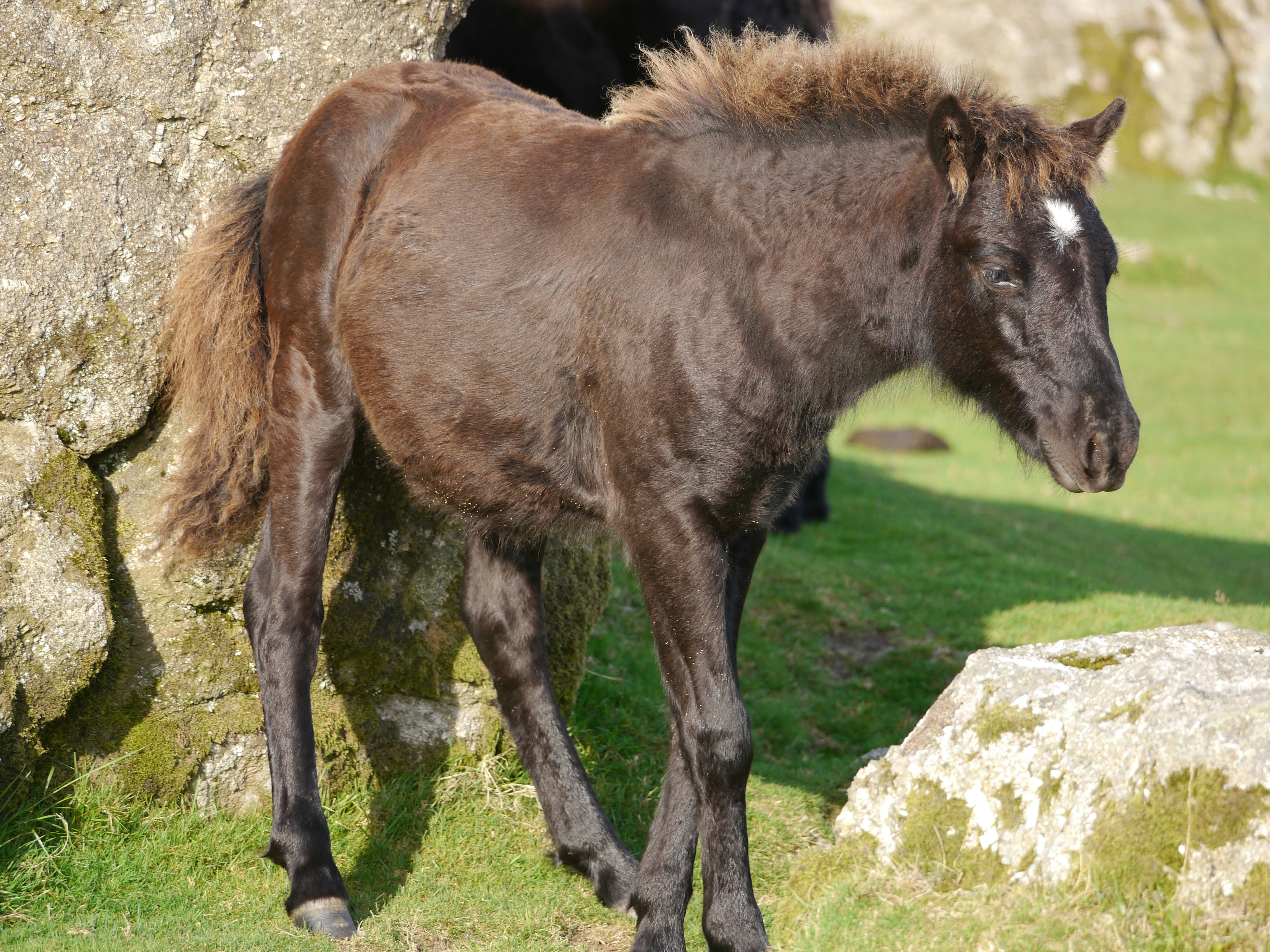 Photo by iqsphotography